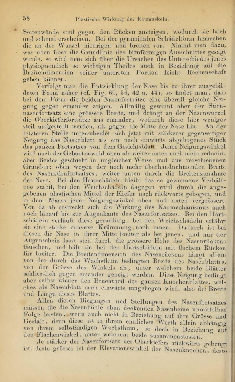 Seiteinviiiulc steil t;e<>'eii den Kücken ansteiy;en , wodurch sie hoch und schmal erscheinen. Bei der pyramidalen Schädclform herrschen die an der Wurzel niedrigen und breiten vor. Kimmt man dazu, was oben über die Grundlinie des bimförmigen Ausschnittes gesagt wurde, so wird man sich über die Ursachen des Unterschiedes jenes physiognomisch so Avichtigen Theiles auch in Beziehung aui die Breitendimension seiner untersten Portion leicht Rechenschalt geben können. Verfolgt man die EntAvicklung der Nase bis zu ihrer ausgebil- deten Form näher (cf. Fig. ßü, 5ß, 42 u. 44), so findet man, dass bei dem Fötus die beiden Nasenfortsätze eine überall gleiche Nei- U'une: ffCijen einander zeiiren. Allmälin: «^CAvinnt aber der Stirn- OOOO O OO ^ nasenfortsatz eine grössere Breite, und dräno-t an der NascnAA'urzel ’ die Oberkieferfortsätze aus einander, Avodurch diese hier Aveniger steil aufgestcllt AA^erden, als gegen die Mitte der Nase hin. An d^r letzteren Stelle unterscheidet sich jetzt mit stärkerer gegenseitiger Neiguno- das Nasenblatt als ein nach cinAvärts ab^-ebof^enes Stück des ganzen Fortsatzes von dem Gesiclitsblatt. Jener ^seigungswiiikel AAÜrd nach der Geburt soAvolil oben als AA citer unten noch mehr reducirt, aber Beides «jeschieht in unodeicher A^eise und aus verschiedenen Gründen; oben Avegen der noch mehr überhandnehnvenden Breite des Nasenstirnfortsatzes, Aveiter unten durch die Breitenzunahme der Nase. Bei den Hartschädeln bleibt das so gCAvonnenc Verhält- niss stabil, bei den Weichschädeln dagegen Avird durch die ange- gebenen plastischen Mittel der Kiefer nach rückAvärts gebogen, und in dem Maass jener NeigungsAvinkel oben und unten A’ergrössert. Von da ab erstreckt sich die AVirkung des Kaumechanismus auch noch hinauf bis zur Augenkante des Nasenfortsatzes. Bei den Hart- schädeln verläuft diese geradlinig, bei den AVeichschädeln erfährt sie eine starke convexe Krümmung.nach innen. Dadurch ist bei diesen die Nase in ilirer Mitte breiter als bei jenen, und nur der Augenscliein lässt sich durch die grössere Höhe des Nasenrückens täusclien, und hält sie hei den Hartscliädeln mit üaehem Rücken für breiter. Die Breitendimension des Nasenrückens hängt allein von der durch das AVachsthum bedingten Breite des Nasenblattes, von der Grösse des AAdnkels ab , unter Avelchem beide Blätter schliesslich gegen einander geneigt Averden. Diese Neigung bedino-t aber selbst Avieder den Bruchtheil des ganzen Knochenblattes, AveU ches als Nasenblatt nach einAvärts umgebogen Avird, also die Breite und Länge dieses Blattes. Allen diesen Biegungen und Stellungen des Nasenfortsatzes müssen die die Nasenhöhle oben deckenden Nasenbeine unmittelbar Folge leisten, .Avenn auch nicht in Beziehung auf ihre Grösse und Gestalt, denn diese ist in ihrem endlichen AVerth allein abhäno-ig von ihrem selbständigen AA’achsthum, so doch in Beziehumr aiH den FlächcnAvinkel, unter Avelchem beide zusamincnstossen. ” Je stärker der Nasenfortsatz des Oberkiefers rückAA’ärts* c-obeuo-t ist. desto grösser ist der ElcvationsAvinkel der Nascnknochcir, desto