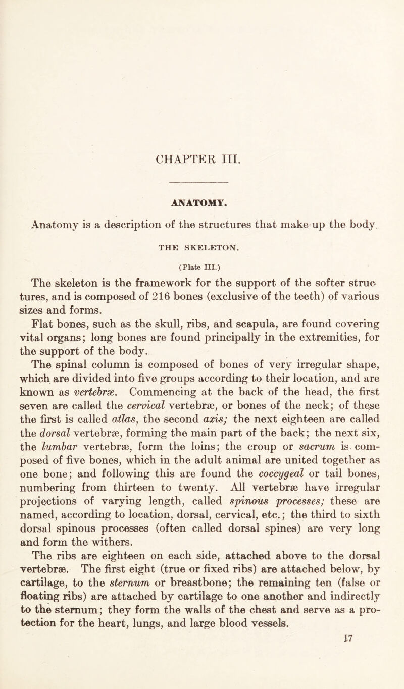 CHAPTER III. ANATOMY. Anatomy is a description of the structures that make up the body , THE SKELETON. (Plate III.) The skeleton is the framework for the support of the softer struc tures, and is composed of 216 bones (exclusive of the teeth) of various sizes and forms. Flat bones, such as the skull, ribs, and scapula, are found covering vital organs; long bones are found principally in the extremities, for the support of the body. The spinal column is composed of bones of very irregular shape, which are divided into five groups according to their location, and are known as vertebra. Commencing at the back of the head, the first seven are called the cervical vertebrae, or bones of the neck; of these the first is called atlas, the second axis; the next eighteen are called the dorsal vertebrae, forming the main part of the back; the next six, the lumbar vertebrae, form the loins; the croup or sacrum is. com- posed of five bones, which in the adult animal are united together as one bone; and following this are found the coccygeal or tail bones, numbering from thirteen to twenty. All vertebrae have irregular projections of varying length, called spinous processes; these are named, according to location, dorsal, cervical, etc.; the third to sixth dorsal spinous processes (often called dorsal spines) are very long and form the withers. The ribs are eighteen on each side, attached above to the dorsal vertebrae. The first eight (true or fixed ribs) are attached below, by cartilage, to the sternum or breastbone; the remaining ten (false or floating ribs) are attached by cartilage to one another and indirectly to the sternum; they form the walls of the chest and serve as a pro- tection for the heart, lungs, and large blood vessels.