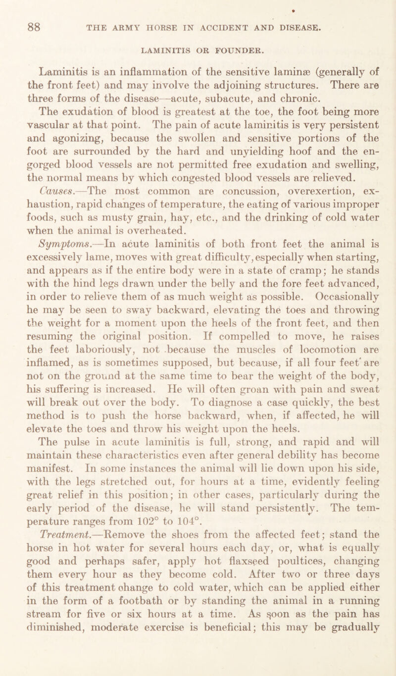 LAMINITIS OR FOUNDER. Laminitis is an inflammation of the sensitive laminae (generally of the front feet) and may involve the adjoining structures. There are three forms of the disease—acute, subacute, and chronic. The exudation of blood is greatest at the toe, the foot being more vascular at that point. The pain of acute laminitis is very persistent and agonizing, because the swollen and sensitive portions of the foot are surrounded by the hard and unyielding hoof and the en- gorged blood vessels are not permitted free exudation and swelling, the normal means by which congested blood vessels are relieved. Causes.—The most common are concussion, overexertion, ex- haustion, rapid changes of temperature, the eating of various improper foods, such as musty grain, hay, etc., and the drinking of cold water when the animal is overheated. Symptoms.—In acute laminitis of both front feet the animal is excessively lame, moves with great difficulty, especially when starting, and appears as if the entire body were in a state of cramp; he stands with the hind legs drawn under the belly and the fore feet advanced, in order to relieve them of as much weight as possible. Occasionally he may be seen to sway backward, elevating the toes and throwing the weight for a moment upon the heels of the front feet, and then resuming the original position. If compelled to move, he raises the feet laboriously, not -because the muscles of locomotion are inflamed, as is sometimes supposed, but because, if all four feet' are not on the ground at the same time to bear the weight of the body, his suffering is increased. He will often groan with pain and sweat will break out over the body. To diagnose a case quickly, the best method is to push the horse backward, when, if affected, he will elevate the toes and throw his weight upon the heels. The pulse in acute laminitis is full, strong, and rapid and will maintain these characteristics even after general debility has become manifest. In some instances the animal will lie down upon his side, with the legs stretched out, for hours at a time, evidently feeling great relief in this position; in other cases, particularly during the early period of the disease, he will stand persistently. The tem- perature ranges from 102° to 104°. Treatment.—Remove the shoes from the affected feet; stand the horse in hot water for several hours each day, or, what is equally good and perhaps safer, apply hot flaxseed poultices, changing them every hour as they become cold. After two or three days of this treatment ohange to cold water, which can be applied either in the form of a footbath or by standing the animal in a running stream for five or six hours at a time. As §oon as the pain has diminished, moderate exercise is beneficial; this may be gradually