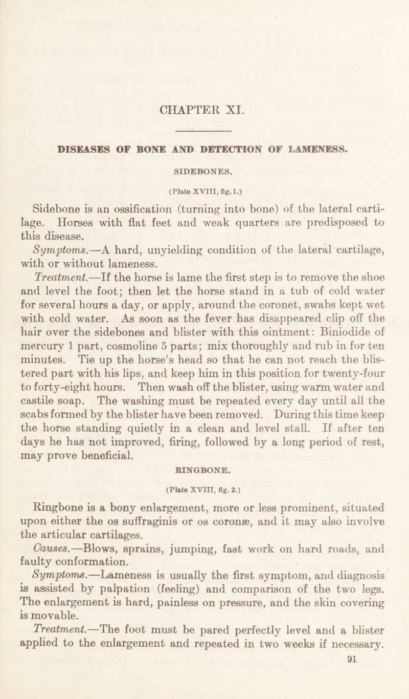 DISEASES OF BONE AND DETECTION OF LAMENESS. SIDEBONES. (Plate XVIII, fig. 1.) Sidebone is an ossification (turning into bone) of the lateral carti- lage. Horses with flat feet and weak quarters are predisposed to this disease. Symptoms.—A hard, unyielding condition of the lateral cartilage, with or without lameness. Treatment.—If the horse is lame the first step is to remove the shoe and level the foot; then let the horse stand in a tub of cold water for several hours a day, or apply, around the coronet, swabs kept wet with cold water. As soon as the fever has disappeared clip off the hair over the sidebones and blister with this ointment: Riniodide of mercury 1 part, cosmoline 5 parts; mix thoroughly and rub in for ten minutes. Tie up the horse’s head so that he can not reach the blis- tered part with his lips, and keep him in this position for twenty-four to forty-eight hours. Then wash off the blister, using warm, water and castile soap. The washing must be repeated every day until all the scabs formed by the blister have been removed. During this time keep the horse standing quietly in a clean and level stall. If after ten days he has not improved, firing, followed by a long period of rest, may prove beneficial. RINGBONE. (Plate XVIII, fig. 2.) Ringbone is a bony enlargement, more or less prominent, situated upon either the os suffraginis or os coronae, and it may also involve the articular cartilages. Causes.—Blows, sprains, jumping, fast work on hard roads, and faulty conformation. Symptoms.—Lameness is usually the first symptom, and diagnosis is assisted by palpation (feeling) and comparison of the two legs. The enlargement is hard, painless on pressure, and the skin covering is movable. Treatment.—The foot must be pared perfectly level and a blister applied to the enlargement and repeated in two weeks if necessary.