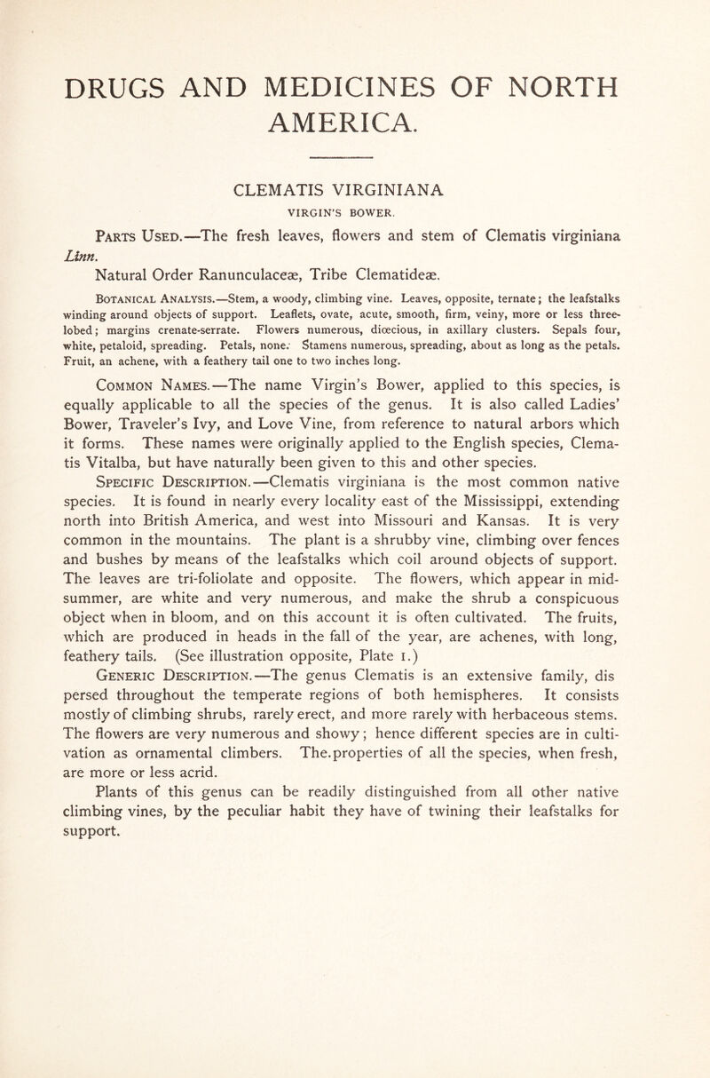 DRUGS AND MEDICINES OF NORTH AMERICA. CLEMATIS VIRGINIANA VIRGIN’S BOWER. Parts Used.—The fresh leaves, flowers and stem of Clematis virginiana Linn. Natural Order Ranunculaceae, Tribe Clematideae. Botanical Analysis.—Stem, a woody, climbing vine. Leaves, opposite, ternate; the leafstalks winding around objects of support. Leaflets, ovate, acute, smooth, firm, veiny, more or less three- lobed; margins crenate-serrate. Flowers numerous, dicecious, in axillary clusters. Sepals four, white, petaloid, spreading. Petals, none: Stamens numerous, spreading, about as long as the petals. Fruit, an achene, with a feathery tail one to two inches long. Common Names.—The name Virgin’s Bower, applied to this species, is equally applicable to all the species of the genus. It is also called Ladies’ Bower, Traveler’s Ivy, and Love Vine, from reference to natural arbors which it forms. These names were originally applied to the English species, Clema- tis Vitalba, but have naturally been given to this and other species. Specific Description.—Clematis virginiana is the most common native species. It is found in nearly every locality east of the Mississippi, extending north into British America, and west into Missouri and Kansas. It is very common in the mountains. The plant is a shrubby vine, climbing over fences and bushes by means of the leafstalks which coil around objects of support. The leaves are tri-foliolate and opposite. The flowers, which appear in mid- summer, are white and very numerous, and make the shrub a conspicuous object when in bloom, and on this account it is often cultivated. The fruits, which are produced in heads in the fall of the year, are achenes, with long, feathery tails. (See illustration opposite, Plate i.) Generic Description.—The genus Clematis is an extensive family, dis persed. throughout the temperate regions of both hemispheres. It consists mostly of climbing shrubs, rarely erect, and more rarely with herbaceous stems. The flowers are very numerous and showy; hence different species are in culti- vation as ornamental climbers. The. properties of all the species, when fresh, are more or less acrid. Plants of this genus can be readily distinguished from all other native climbing vines, by the peculiar habit they have of twining their leafstalks for support.