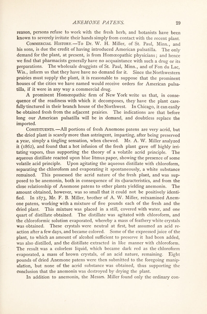 reason, persons refuse to work with the fresh herb, and botanists have been known to severely irritate their hands simply from contact with the recent plant. Commercial History.—To Dr. W. H. Miller, of St. Paul, Minn., and his sons, is due the credit of having introduced American pulsatilla. The only demand for the plant, at present, is from Homoeopathic physicians; and hence we find that pharmacists generally have no acquaintance with such a drug or its preparations. The wholesale druggists of St. Paul, Minn., and of Fon du Lac, Wis., inform us that they have have no demand for it. Since the Northwestern prairies must supply the plant, it is reasonable to suppose that the prominent houses of the cities we have named would receive orders for American pulsa- tilla, if it were in any way a commercial drug. A prominent Homoeopathic firm of New York write us that, in conse- quence of the readiness with which it decomposes, they have the plant care- fully tinctured in their branch house of the Northwest. In Chicago, it can easily be obtained fresh from the adjacent prairies. The indications are that before long our American pulsatilla will be in demand, and doubtless replace the imported. Constituents.—All portions of fresh Anemone patens are very acrid, but the dried plant is scarely more than astringent, imparting, after being preserved a year, simply a tingling sensation, when chewed. Mr. A. W. Miller analyzed it (1862), and found that a hot infusion of the fresh plant gave off highly irri- tating vapors, thus supporting the theory of a volatile acrid principle. The aqueous distillate reacted upon blue litmus paper, showing the presence of some volatile acid principle. Upon agitating the aqueous distillate with chloroform, separating the chloroform and evaporating it spontaneously, a white substance remained. This possessed the acrid nature of the fresh plant, and was sup- posed to be anemonin, both in consequence of its characteristics, and from the close relationship of Anemone patens to other plants yielding anemonin. The amount obtained, however, was so small that it could not be positively identi- fied. In 1873, Mr. F. B. Miller, brother of A. W. Miller, reexamined Anem- one patens, working with a mixture of five pounds each of the fresh and the dried plant. This mixture was placed in a still, covered with water, and one quart of distillate obtained. The distillate was agitated with chloroform, and the chloroformic solution evaporated, whereby a mass of feathery white crystals was obtained. These crystals were neutral at first, but assumed an acid re- action after a few days, and became colored. Some of the expressed juice of the plant, to which an amount of alcohol sufficient to preserve it had been added, was also distilled, and the distillate extracted in like manner with chloroform. The result was a colorless liquid, which became dark red as the chloroform evaporated, a mass of brown crystals, of an acid nature, remaining. Eight pounds of dried Anemone patens were then submitted to the foregoing manip- ulation, but none of the acrid substance was obtained, thus supporting the conclusion that the anemonin was destroyed by drying the plant. In addition to anemonin, the Messrs. Miller found only the ordinary con-