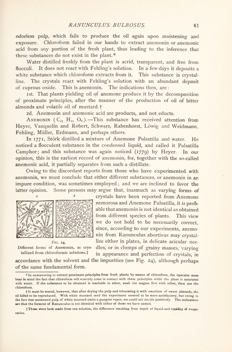 odorless pulp, which fails to produce the oil again upon moistening and exposure. Chloroform failed in our hands to extract anemonin or anemonic acid from any portion of the fresh plant, thus leading to the inference that these substances do not exist in the plant.* Water distilled freshly from the plant is acrid, transparent, and free from flocculi. It does not react with Fehling’s solution. In a few days it deposits a white substance which chloroform extracts from it. This substance is crystal- line. The crystals react with Fehling’s solution with an abundant deposit of cuprous oxide. This is anemonin. The indications then, are: ist. That plants yielding oil of anemone produce it by the decomposition of proximate principles, after the manner of the production of oil of bitter almonds and volatile oil of mustard, f 2d. Anemonin and anemonic acid are products, and not educts. Anemonin (CI5 HI2 06).—This substance has received attention from Heyer, Vauquelin and Robert, Schwarz, Rabenhorst, Lowig and Weidmann, Fehling, Muller, Erdmann, and perhaps others. In 1771, Stork distilled a mixture of Anemone Pulsatilla and water. He noticed a flocculent substance in the condensed liquid, and called it Pulsatilla Camphor; and this substance was again noticed (1779) by Heyer. In our opinion, this is the earliest record of anemonin, for, together with the so-called anemonic acid, it partially separates from such a distillate. Owing to the discordant reports from those who have experimented with anemonin, we must conclude that either different substances, or anemonin in an impure condition, was sometimes employed ; and we are inclined to favor the latter opinion. Some persons may argue that, inasmuch as varying forms of crystals have been reported from Anemone nemorosa and Anemone Pulsatilla, it is prob- able that anemonin is not identical as obtained from different species of plants. This view we do not hold to be necessarily correct, since, according to our experiments, anemo- nin from Ranunculus abortivus may crystal- Fig. 24. lize either in plates, in delicate acicular nee- Different forms of Anemonin, as crys- dies, or in clumps of grainy masses, varying tallized from chloroformic solutions.}: jn appearance and perfection of crystals, in accordance with the solvent and the impurities (see Fig. 24), although perhaps of the same fundamental form. * In endeavoring to extract proximate principles from fresh plants by means of chloroform, the operator most bear in mind the fact that chloroform will scarcely come in contact with these principles while the plant is saturated with water. If the substance to be obtained is insoluble in ether, wash the magma first with ether, then use the chloroform. f It must be stated, however, that after drying the pulp and triturating it with emulsion of sweet almonds, the oil failed to be reproduced. With white mustard seed the experiment seemed to be more satisfactory, but owing to the fact that moistened pulp of white mustard emits a pungent vapor, we could not decide positively. The indications are that the ferment of Ranunculus is not identical with either of those we have named. JTheae were both made from one solution, the difference resulting from depth of liquid and rapidity of evapo- ration.