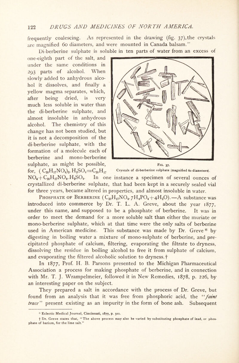 frequently coalescing. As represented in the drawing (fig. 37),the crystals are magnified 60 diameters, and were mounted in Canada balsam.” Di-berberine sulphate is soluble in ten parts of water from an excess of one-eighth part of the salt, and under the same conditions in 293 parts of alcohol. When slowly added to anhydrous alco- hol it dissolves, and finally a yellow magma separates, which, after being dried, is very much less soluble in water than the di-berberine sulphate, and almost insoluble in anhydrous alcohol. The chemistry of this change has not been studied, but it is not a decomposition of the di-berberine sulphate, with the formation of a molecule each of berberine and mono-berberine sulphate, as might be possible, N04-TC2oH17N04. H2S04. In one instance a specimen of several ounces of crystallized di-berberine sulphate, that had been kept in a securely sealed vial for three years, became altered in properties, and almost insoluble in water. Phosphate of Berberine (C2oH17N04.7H4P04 A4H2O).—A substance was introduced into commerce by Dr. T. L. A. Greve, about the year 1877, under this name, and supposed to be a phosphate of berberine. It was in order to meet the demand for a more soluble salt than either the muriate or mono-berberine sulphate, which at that time were the only salts of berberine used in American medicine. This substance was made by Dr. Greve * by digesting in boiling water a mixture of mono-sulphate of berberine, and pre- cipitated phosphate of calcium, filtering, evaporating the filtrate to dryness, dissolving the residue in boiling alcohol to free it from sulphate of calcium, and evaporating the filtered alcoholic solution to dryness, f In 1877, Prof. H. B. Parsons presented to the Michigan Pharmaceutical Association a process for making phosphate of berberine, and in connection with Mr. T. J. Wrampelmeier, followed it in New Remedies, 1878, p. 226, by an interesting paper on the subject. They prepared a salt in accordance with the process of Dr. Greve, but found from an analysis that it was free from phosphoric acid, the “faint trace ” present existing as an impurity in the form of bone ash. Subsequent * Eclectic Medical Journal, Cincinnati, 1877, p. 3x1. f Dr. Greve states that, “The above process may also be varied by substituting phosphate of lead, or phos- phate of barium, for the lime salt. Fig. 37.