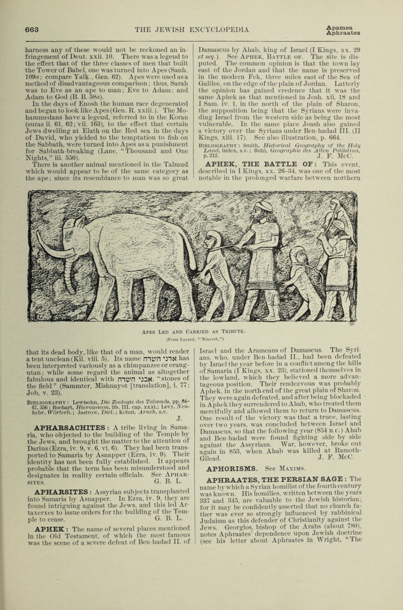 Apamea Aphraates harness any of these would not be reckoned an in- fringement of Deut. xxii. 10. There was a legend to the effect that of the three classes of men that built the Tower of Babel, one was turned into Apes (Sanh. 109a: compare Yalk., Gen. 62). Ajies were used asa method of disadvantageous comparison; thus, Sarah was to Eve as an ape to man; Eve to Adam; and Adam to God (B, B. 58a). In the days of Enosh the human race degenerated and began to look like Apes (Gen. R. xxiii.). The DIo- hammedans have a legend, referred to in the Koran (suras ii. 61, 62; vii. 163), to the effect that certain Jews dwelling at Elath on the Red sea in the daj's of David, who yielded to the temi)tation to fish on the Sabbath, were turned into Apes as a punishment for Sabbath-breaking (Lane, “Thousand and One Nights,” iii. 550). There is another animal mentioned in the Talmud which would appear to be of the same category as the ape; since its resemblance to man was so great Damascus by Ahab, king of Israel (I Kings, xx. 29 et fseq.). See Apiikk, Battle ob\ The site is dis- puted. The common opinion is that the town lay east of the Jordan and that the name is preserved in the modern Eek, three miles east of the Sea of Galilee, on the edge of the plain of Jordan. Latterly the opinion has gained credence that it was the same Aphek as that mentioned in Josh. xii. 18 and I Sam. iv. 1, in the north of the plain of Sharon, the supposition being that the Syrians were inva- ding Israel from the western side as being the most vulnerable. In the same place Joash ahso gained a victory over the Syrians under Beu-hadad III. (II Kings, xiii. 17). See also illustration, p. 664. Bibliography : Smith, Historical Gcourapliu of the Holii ifUKi, index, s.v.; Buhl, Gcouraphie dcs Altcii Pnliistina, P.21:i. J. F. IdcC. APHEK, THE BATTLE OF: This event, described in I Kings, xx. 26-34, was one of the most notable in the iirolouged warfare between northern Apes Led and Carried as Tribute. (From Layard, “ Nineveh.”) that its dead body, like that of a man, would render a tent unclean (Kil. viii. 5). Its name bas been interpreted variously as a chimpanzee or orang- utan; while some regard the animal as altogether fabulous and identical with mtitn D3N. “stones of the field” (Sammter, Mislmayot [translation], i. 77; Job, V, 23). Bibliography : Lewisolin, Die Zoologie des Talmuds, pp. 84- 67,13.56: Bochart, Hierozoicon, lib. III. cap. xxxi.: Levy, Neu- hebr. Worterh.; Jastrow, Diet.; Kohut, Aruch, s.v. J. APHARSACHITES ; A tribe living in Sama- ria, who objected to the building of the Temple by the Jews, and brought the matter to the attention of Darius (Ezra, iv. 9, v. 6, vi. 6). They had been trans- ported to Samaria b}^ Asnapper (Ezra, iv. 9). Their identity has not been full3^ established. It appears probable that the term has been misunderstood and designates in reality certain officials. See Apiiar- siTES. G. B. L. APHARSITES : Assyrian subjects transplanted into Samaria by Asnapper. In Ezra, iv. 9. they are found intriguing against the Jews, and this led Ar- taxerxes to issue orders for the building of the Tem- ple to cease, G. B. L. APHEK : The name of several places mentioned in the Old Testament, of which the most famous was the scene of a severe defeat of Ben-hadad II. of Israel and the Arameans of Damascus. The Syri- ans. who, under Ben-hadad II., had been defeated by Israel the year before in a conflict among the hills of Samaria (I Kings, xx. 23), stationed themselves in the lowland, which they believed a more advan- tageous position. Their rendezvous was probably Aphek, in the north end of the great plain of Sharon. They were again defeated, and after being blockaded in Aphek they surrendered to Ahab, who treated them mercifully and allowed them to return to Damascus. One result of the victory was that a truce, lasting over two years, was concluded between Israel and Damascus, so that the following year (854 b.c,) Ahab and Ben-hadad were found fighting side by side against the Assj-rians, War, however, broke out aaain in 853, when Ahab was killed at Ramoth- Gilead. J- F. McC. APHORISMS. See Maxims. APHRAATES, THE PERSIAN SAGE : The name by which a Syrian homilist of the fourth century ■was known. His homilies, written between the years 337 and 345, are valuable to the Jewish historian; for it may be confidently asserted that no church fa- ther was* ever so strongly influenced^ by rabbinical Judaism as this defender of Christianity against the Jews. Georgios, bishop of the Arabs (about 780), notes Aphraates’ dependence upon Jewish doctrine (see his letter about Aphraates in Wright, “The