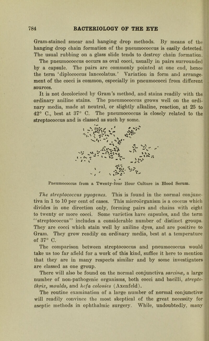 Gram-stained smear and hanging drop methods. By means of the hanging drop chain formation of the pneumococcus is easily detected. The usual rubbing on a glass slide tends to destroy chain formation. The pneumococcus occurs as oval cocci, usually in pairs surrounded by a capsule. The pairs are commonly pointed at one end, hence the term ‘diplococcus lanceolatus. ’ Variation in form and arrange- ment of the cocci is common, especially in pneumococci from different sources. It is not decolorized by Gram’s method, and stains readily with the ordinary aniline stains. The pneumococcus grows well on the ordi- nary media, made at neutral, or slightly alkaline, reaction, at 25 to 42° C., best at 37° C. The pneumococcus is closely related to the streptococcus and is classed as such by some. h* “/ . '•V' % •• •* •• \ \ ^ \ “t • Jv-t. Pneumococcus from a Twenty-four Hour Culture in Blood Serum. The streptococcus pyogenes. This is found in the normal conjunc- tiva in 1 to 10 per cent of cases. This microorganism is a coccus which divides in one direction only, forming pairs and chains with eight to twenty or more cocci. Some varieties have capsules, and the term “streptococcus” includes a considerable number of distinct groups. They are cocci which stain well by aniline dyes, and are positive to Gram. They grow readily on ordinary media, best at a temperature of 37° C. The comparison between streptococcus and pneumococcus would take us too far afield for a work of this kind, suffice it here to mention that they are in many respects similar and by some investigators are classed as one group. There will also be found on the normal conjunctiva sarcitice, a large number of non-pathogenic organisms, both cocci and bacilli, strepto- ihrix, moulds, and hefa colonies (Axenfeld). The routine examination of a large number of normal conjunctiva? will readily convince the most skeptical of the great necessity for aseptic methods in ophthalmic surgery. AVhile, undoubtedly, many