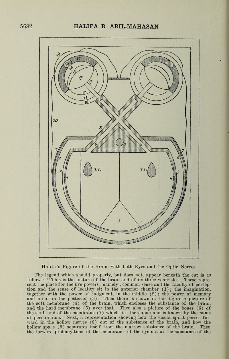 Halifa’s Figure of the Brain, with both Eyes and the Optic Nerves. The legend which should properly, but does not, appear beneath the cut is as follows: ‘ ‘ This is the picture of the brain and of its three ventricles. These repre- sent the place for the five powers: namely , common sense and the faculty of percep- tion and the sense of locality sit in the anterior chamber (1); the imagination, together with the power of judgment, in the middle (2); the power of memory and proof in the posterior (3). Then there is shown in this figure a picture of the soft membrane (4) of the brain, which encloses the substance of the brain, and the hard membrane (5) over that. Then also a picture of the bones (6) of the skull and of the membrane (7) which lies thereupon and is known by the name of pericranium. Next, a representation showing how the visual spirit passes for- ward in the hollow nerves (8) out of the substance of the brain, and how the hollow space (9) separates itself from the marrow substance of the brain. Then the forward prolongations of the membranes of the eye out of the substance of the