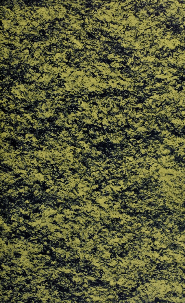 digitised image 3