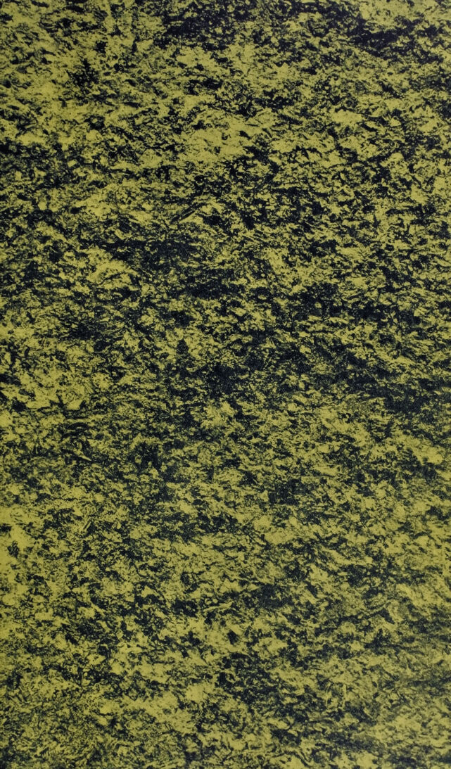 digitised image 3