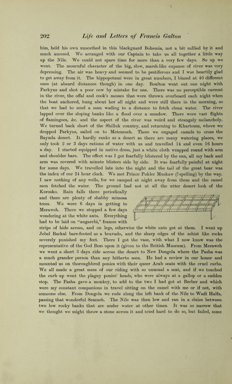 him, held his own unscathed in this blackguard Bohemia, not a bit sullied by it and much amused. We arranged with our Captain to take us all together a little way up the Nile. We could not spare time for more than a very few days. So up we went. The mournful character of the big, slow, marsh-like expanse of river was very depressing. The air was heavy and seemed to be pestiferous and I was heartily glad to get away from it. The hippopotami were in great numbers, I blazed at 40 different ones (at absurd distances though) in one day. Boulton went out one night with Parkyns and shot a poor cow by mistake for one. There was no perceptible current in the river, the offal and cook’s messes that were thrown overboard each night when the boat anchored, hung about her all night and were still there in the morning, so that we had to send a man wading to a distance to fetch clean water. The river lapped over the sloping banks like a flood over a meadow. There were vast flights of flamingoes, &c. and the aspect of the river was weird and strangely melancholy. We turned back short of the Shilluk country, and returning to Khartoum, where we dropped Parkyns, sailed on to Metemneh. There we engaged camels to cross the Bayuda desert. It hardly ranks as a desert as there are many watering places, we only took 2 or 3 days rations of water with us and travelled 14 and even 16 hours a day. I started equipped in native dress, just a white cloth wrapped round with arm and shoulder bare. The effect was I got fearfully blistered by the sun, all my back and arm was covered with minute blisters side by side. It was fearfully painful at night for some days. We travelled late into the night and the tail of the great bear was the index of our 24 hour clock. We met Prince Pulcler Muskaw (? spelling) by the way. I saw nothing of any wells, for we camped at night away from them and the camel men fetched the water. The ground had not at all the utter desert look of the Korosko. Rain falls there periodically and there are plenty of shabby mimosa trees. We were 6 days in getting to Meraweh. There we stopped a few days wondering at the white ants. Everything had to be laid on “angarebi,” frames with strips of hide across, and on legs, otherwise the white ants got at them. I went up Jebel Barkal bare-footed as a bravado, and the sharp edges of the schist like rocks severely punished my feet. There I got the vase, with what I now know was the representative of the God Bess upon it (given to the British Museum). From Meraweh we went a short 3 days ride across the desert to New Dongola where the Pasha was a much grander person than any hitherto seen. He had a review in our honor and mounted us on thoroughbred ponies with their queer Arab seats with the cruel curbs. We all made a great mess of our riding with so unusual a seat, and if we touched the curb up went the plaguy ponies’ heads, who were always at a gallop or a sudden stop. The Pasha gave a monkey, to add to the two I had got at Berber and which were my constant companions in travel sitting on the camel with me or if not, with someone else. From Dongola we rode along the left bank of the Nile to Wadi Haifa, passing that wonderful Semneh. The Nile was then low and ran in a sluice between two low rocky banks that are under water at other times. It was so narrow that we thought we might throw a stone across it and tried hard to do so, but failed, some