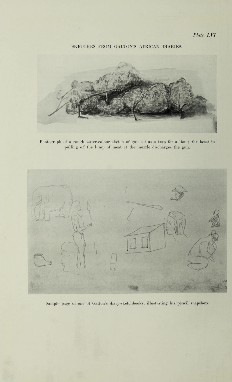 SKETCHES FROM GALTON’S AFRICAN DIARIES. Photograph of a rough water-colour sketch of gun set as a trap for a lion ; the beast in pulling off the lump of meat at the muzzle discharges the gun. Sample page of one of Galtou’s diary-sketchbooks, illustrating his pencil snapshots.