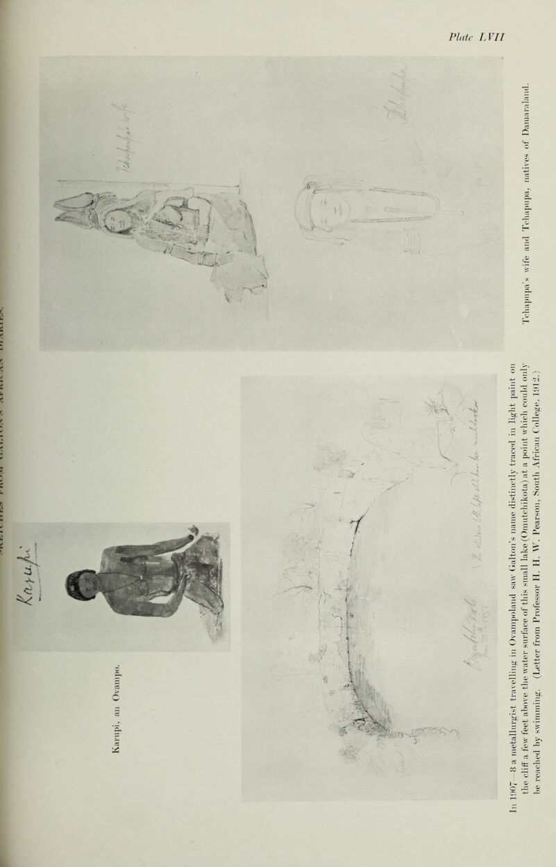 V : 907 8 a metallurgist travelling in Ovampoland saw Galton’s name distinctly traced in light paint on the cliff a few feet above the water surface of this small lake (Omutchikota) at a point which could only Tchapupa’s wife and Tchapupa, natives of Damaraland. he reached hy swimming. (Letter from Professor H. H. \Vr. Pearson, South African College, 1!I12.)