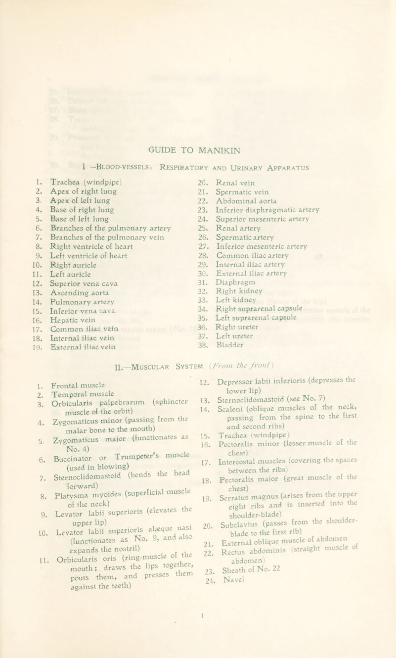 GUIDE TO MANIKIN I -Blood-vessels ; Respiratory and Urinary Apparatus 1. Trachea (windpipe) 2. Apex of right lung 3. Apex of left lung 4. Base of right lung 5. Base of left lung 6. Branches of the pulmonary artery 7» Branches of the pulmonary vein 8. Right ventricle of heart 9. Left ventricle of heart 10. Right auricle 11. Left auricle 12. Superior vena cava 13. Ascending aorta 14. Pulmonary artery 15. Inferior vena cava 16. Hepatic vein 17. Common iliac vein 18. Internal iliac vein 19. External iliac vein 20. Renal vein 21. Spermatic vein 22. Abdominal aorta 23. Inferior diaphragmatic artery 24. Superior mesenteric artery 25. Renal artery 26. Spermatic artery 27. Inferior mesenteric artery 28. Common iliac artery 29. Internal iliac artery 30. External iliac artery 31. Diaphragm 32. Right kidney 33. Left kidney 34. Right suprarenal capsule 35. Left suprarenal capsule 36. Right ureter 37. Left ureter 38. Bladder 1. 2. 3. 4. 5. 6. 7. 8. 9. 10. 11. II.—Muscular System [From the front) Frontal muscle Temporal muscle Orbicularis palpebrarum (sphincter muscle of the orbit) Zygomaticus minor (passing from the malar bone to the mouth) Zygomaticus major (functionates as No. 4) Buccinator or Trumpeters muscle (used in blowing) Sternoclidomastoid (bends the head forward) Platysma myoides (superficial muse e of the neck) Levator labii superioris (elevates the upper lip) Levator labii superioris alaeque nasi (functionates as No. 9t and also expands the nostril) Orbicularis oris (ring-muscle of the mouth; draws the lips together, pouts them, and presses them against the teeth) 12. 13. 14. 15. 16. 17. 18. 19. 20. 21. 22. 23. 24. Depressor labii inferioris (depresses the lower lip) Sternoclidomastoid (see No. 7) Scaleni (oblique muscles of the neck, passing from the spine to the first and second ribs) Trachea (windpipe) Pectoralis minor (lesser muscle of the chest) Intercostal muscles (covering the spaces between the ribs) Pectoralis major (great muscle of the chest) Serratus magnus (arises from the upper eight ribs and is inserted into the shoulder-blade) Subclavius (passes from the shoulder- blade to the first rib) External oblique muscle of abdomen Rectus abdominis (straight muscle of abdomen) Sheath of No. 22 Navel 1