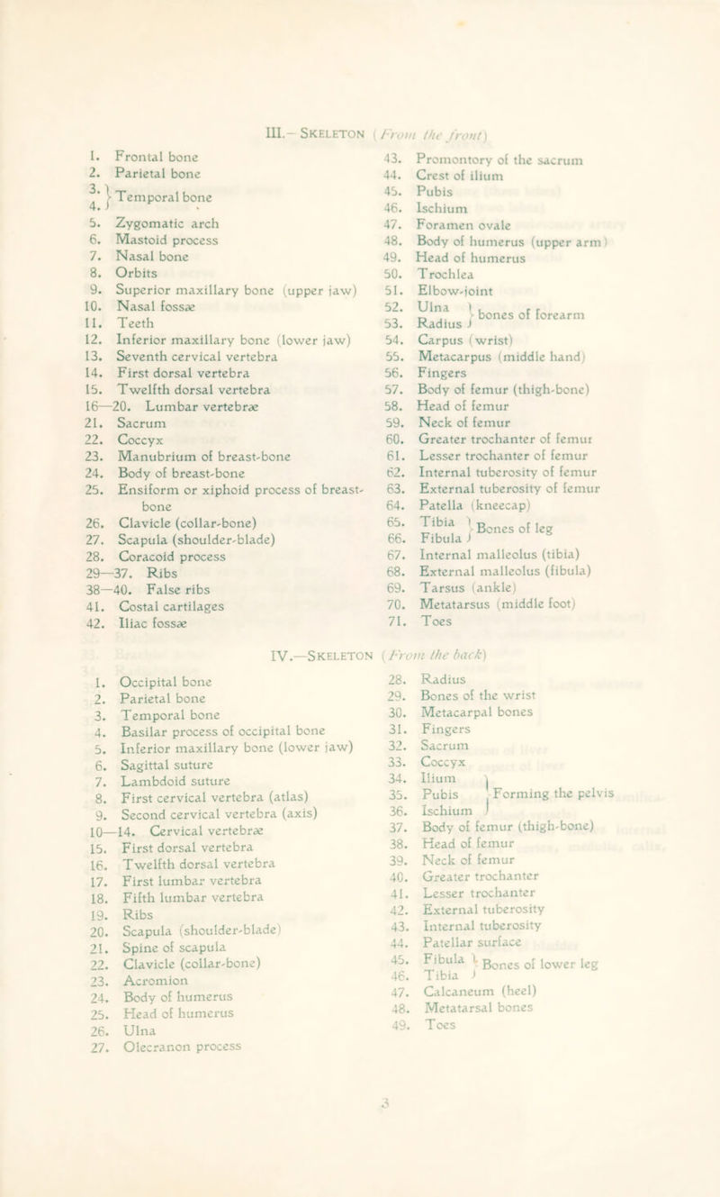 111.—Skeleton {/'roi/i the /rout) 1. Frontal bone 43. Promontory of the sacrum 2. Parietal bone 44. Crest of ilium 3.1 ► Temporal bone 45. Pubis 4. i 46. Ischium 5. Zygomatic arch 47. Foramen ovale 6. Mastoid process 48. Body of humerus (upper arm) 7. Nasal bone 49. Head of humerus 8. Orbits 50. Trochlea 9. Superior maxillary bone (upper jaw) 51. Elbow-joint 10. Nasal fossae 52. Ulna I , r r „ ^ bones oi lorearm 11. Teeth 53. Radius J 12. Inferior maxillary bone (lower jaw) 54. Carpus (wrist) 13. Seventh cervical vertebra 55. Metacarpus (middle hand) 14. First dorsal vertebra 56. Fingers 15. Twelfth dorsal vertebra 57. Body of femur (thigh-bone) 16- -20. Lumbar vertebrae 58. Head of femur 21. Sacrum 59. Neck of femur 22. Coccyx 60. Greater trochanter of femur 23. Manubrium of breast^bone 61. Lesser trochanter of femur 24. Body of breast'bone 62. Internal tuberosity of femur 25. Ensiform or xiphoid process of breast^ 63. External tuberosity of femur bone 64. Patella (kneecap) 26. Clavicle (collar-bone) 65. Tibia \ Bones of leg 27. Scapula (shoulder-blade) 66. Fibula J 28. Coracoid process 67. Internal malleolus (tibia) 29- -37. Ribs 68. External malleolus (fibula) 38- -40. False ribs 69. Tarsus (ankle) 41. Costal cartilages 70. Metatarsus (middle foot) 42. Iliac fossae 71. Toes IV.—Skeleton [From the back) 1. Occipital bone 28. Radius 2. Parietal bone 29. Bones of the wrist 3. Temporal bone 30. Metacarpal bones 4. Basilar process of occipital bone 31. Fingers 5. Inferior maxillary bone (lower jaw) 32. Sacrum 6. Sagittal suture 33. Coccyx 7. Lambdoid suture 34. Ilium \ Pubis -Forming the pelv Ischium ) 8. First cervical vertebra (atlas) 35. 9. Second cervical vertebra (axis) 36. 10— -14. Cervical vertebrae 37. Body of femur (thigh-bone) 15, First dorsal vertebra 38. Head of femur 16. Twelfth dorsal vertebra 39. Neck of femur 17. First lumbar vertebra 40. Greater trochanter 18. Fifth lumbar vertebra 41. Lesser trochanter 19. Ribs 42. External tuberosity 20. Scapula (shoulder-blade) 43. Internal tuberosity 21. Spine of scapula 44. Patellar surface 22. Clavicle (collar-bone) 45. Fibula \ Bones of lower leg 23. Acromion 46. Tibia J 24. Body of humerus 47. Calcaneum (heel) 25. Head of humerus 48. Metatarsal bones 26. 27. Ulna Olecranon process 49. Toes 3