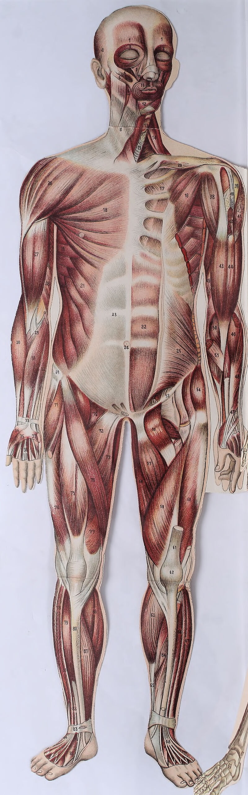 No text description is available for this image