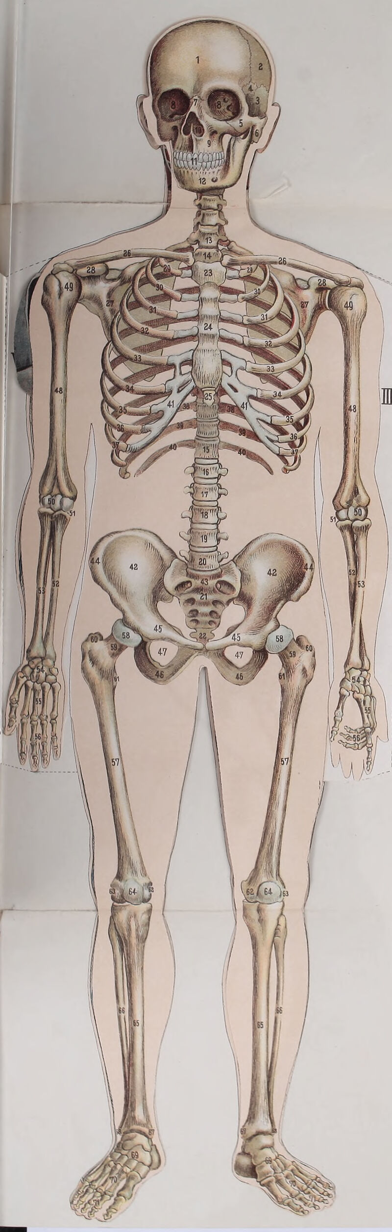 No text description is available for this image