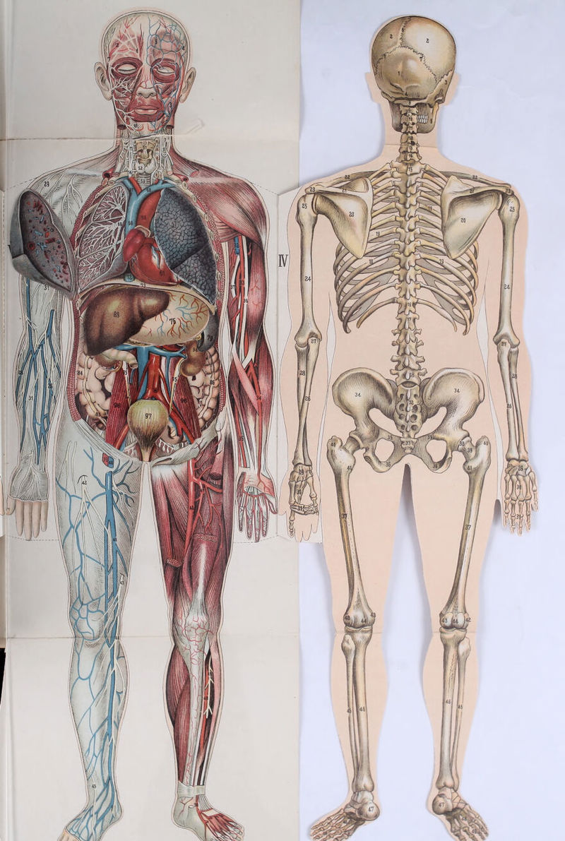 No text description is available for this image