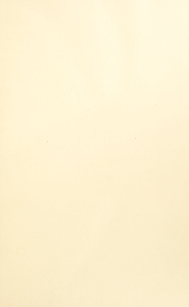 digitised image 3