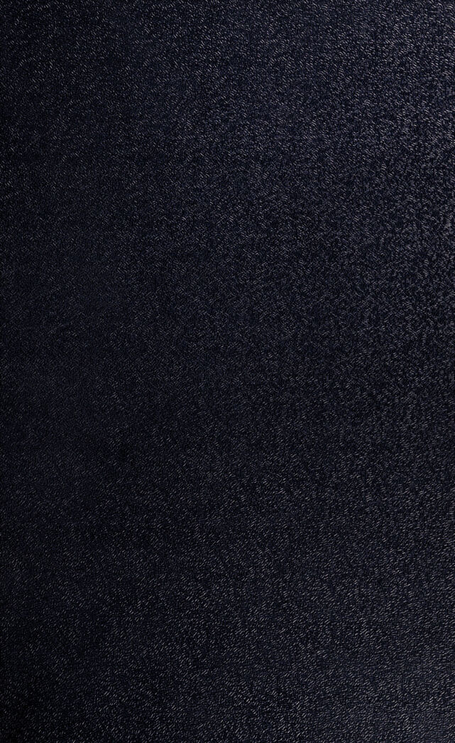digitised image 1