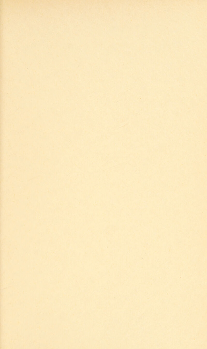 y . ’ ‘ .■• - ■■• ■ ■ ■' . * v> ‘''. ■ •>>•' '■■'”■■■ . ■ ipsti: *■: -i^ :,. ■^'«Ä,.