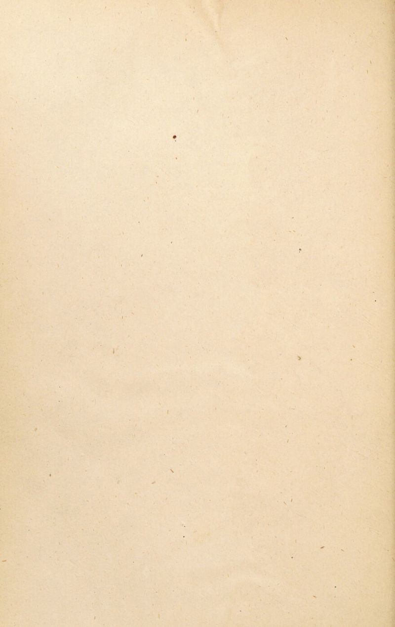 l t \ I I V • V f 1 I I / \ / » \ I I \ ‘ . I t r s ' / '■ s \ \ ■t I I t / l i I I > V 1