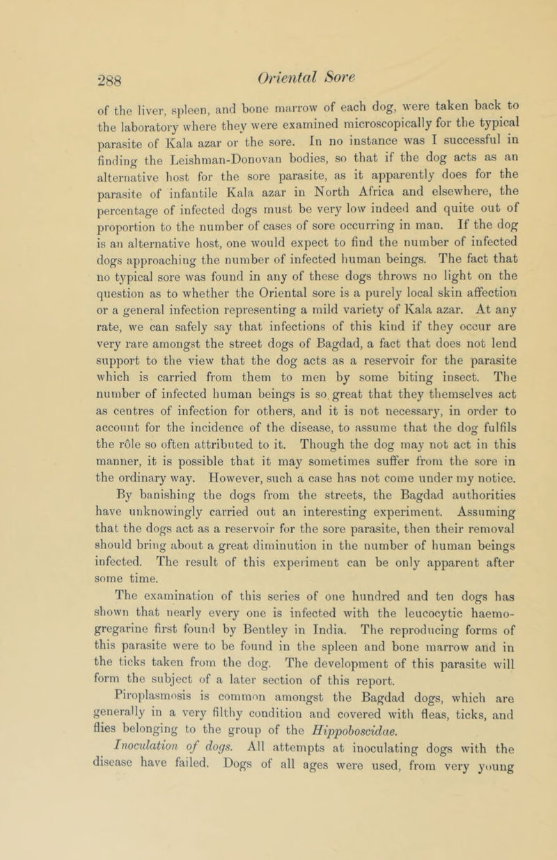 of the liver, spleen, and bone marrow of each dog, were taken back to the laboratory where they were examined microscopically for the typical parasite of Kala azar or the sore. In no instance was I successful in finding the Leishman-Donovan bodies, so that if the dog acts as an alternative host for the sore parasite, as it apparently does for the parasite of infantile Kala azar in North Africa and elsewhere, the percentage of infected dogs must be very low indeed and quite out of proportion to the number of cases of sore occurring in man. If the dog is an alternative host, one would expect to find the number of infected dogs approaching the number of infected human beings. The fact that no typical sore was found in any of these dogs throws no light on the question as to whether the Oriental sore is a purely local skin affection or a general infection representing a mild variety of Kala azar. At any rate, we can safely say that infections of this kind if they occur are very rare amongst the street dogs of Bagdad, a fact that does not lend support to the view that the dog acts as a reservoir for the parasite which is carried from them to men by some biting insect. The number of infected human beings is so great that they themselves act as centres of infection for others, and it is not necessary, in order to account for the incidence of the disease, to assume that the dog fulfils the r61e so often attributed to it. Though the dog may not act in this manner, it is possible that it may sometimes suffer from the sore in the ordinary way. However, such a case has not come under my notice. By banishing the dogs from the streets, the Bagdad authorities have unknowingly carried out an interesting experiment. Assuming that the dogs act as a reservoir for the sore parasite, then their removal should bring about a great diminution in the number of human beings infected. The result of this experiment can be only apparent after some time. The examination of this series of one hundred and ten dogs has shown that nearly every one is infected with the leucocytic haemo- gregarine first found by Bentley in India. The reproducing forms of this parasite were to be found in the spleen and bone marrow and in the ticks taken from the dog. The development of this parasite will form the subject of a later section of this report. Piroplasmosis is common amongst the Bagdad dogs, which are generally in a very filthy condition and covered with fleas, ticks, and flies belonging to the group of the Hippoboscidae. Inocidation of dogs. All attempts at inoculating dogs with the disease have failed. Dogs of all ages were used, from very young