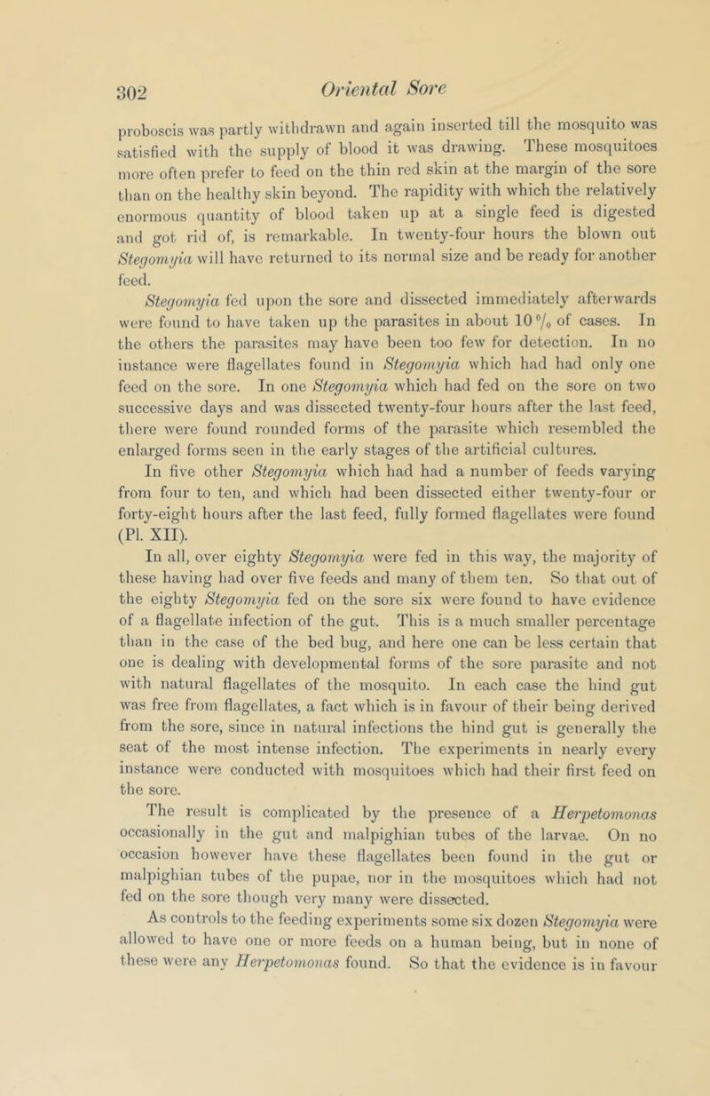 802 proboscis was partly withdrawn and again insoited till tho moscjuito was satisfied with the supply of blood it was drawing. These mosquitoes more often prefer to feed on the thin red skin at the margin of the sore than on the healthy skin beyond. The rapidity with which the relatively enormous quantity of blood taken up at a single feed is digested and got rid of, is remarkable. In twenty-four hours the blown out Stegomyici will have returned to its normal size and be ready for another feed. Stegomyia fed upon the sore and dissected immediately afterwards were found to have taken up the parasites in about 10 “/o of cases. In the others the parasites may have been too few for detection. In no instance were flagellates found in Stegomyia which had had only one feed on the sore. In one Stegomyia which had fed on the sore on two successive days and was dissected twenty-four hours after the last feed, there were found rounded forms of the parasite which resembled the enlarged forms seen in the early stages of the artificial cultures. In five other Stegomyia which had had a number of feeds varying from four to ten, and which had been dissected either twenty-four or forty-eight hours after the last feed, fully formed flagellates were found (PI. XII). In all, over eighty Stegomyia were fed in this way, the majority of these having had over five feeds and many of them ten. So that out of the eighty Stegomyia fed on the sore six were found to have evidence of a flagellate infection of the gut. This is a much smaller percentage than in the case of the bed bug, and here one can be less certain that one is dealing with developmental forms of the sore parasite and not with natural flagellates of the mosquito. In each case the hind gut was free from flagellates, a fact which is in favour of their being derived from the sore, since in natural infections the hind gut is generally the seat of the most intense infection. The experiments in nearly every instance were conducted with mosquitoes which had their first feed on the sore. The result is complicated by the presence of a Herpetomonas occasionally in the gut and malpighian tubes of the larvae. On no occasion however have these flagellates been found in the gut or malpighian tubes of the pupae, nor in the mosquitoes which had not fed on the sore though very many were dissected. As controls to the feeding experiments some six dozen Stegomyia were allowed to have one or more feeds on a human being, but in none of these were any Herpetomonas found. So that the evidence is in favour