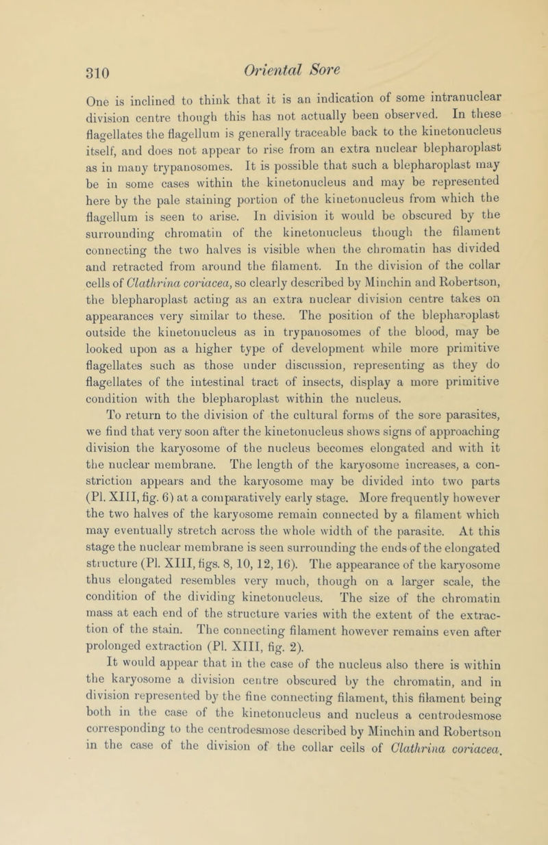One is inclined to think that it is an indication of some intranuclear division centre though this has not actually been observed. In these flagellates the flagellum is generally traceable back to the kinetonucleus itself, and does not appear to rise from an extra nuclear blepharoplast as in many trypanosomes. It is possible that such a blepharoplast may be in some cases within the kinetonucleus and may be represented here by the pale staining portion of the kinetonucleus from which the flagellum is seen to arise. In division it would be obscured by the surrounding chromatin of the kinetonucleus though the filament connecting the two halves is visible when the chromatin has divided and retracted from around the filament. In the division of the collar cells of Clathrina coriacea, so clearly described by Minchin and Robertson, the blepharoplast acting as an extra nuclear division centre takes on appearances very similar to these. The position of the blepharoplast outside the kinetonucleus as in trypanosomes of the blood, may be looked upon as a higher type of development while more primitive flagellates such as those under discussion, representing as they do flagellates of the intestinal tract of insects, display a more primitive condition with the blepharoplast within the nucleus. To return to the division of the cultural forms of the sore parasites, we find that very soon after the kinetonucleus shows signs of approaching division the karyosome of the nucleus becomes elongated and with it the nuclear membrane. The length of the karyosome increases, a con- striction appears and the karyosome may be divided into two parts (PI. XIII, fig. 6) at a comparatively early stage. More frequently however the two halves of the karyosome remain connected by a filament which may eventually stretch across the whole width of the parasite. At this stage the nuclear membrane is seen surrounding the ends of the elongated structure (PI. XIII, figs. 8, 10, 12, IG). The appearance of the karyosome thus elongated resembles very much, though on a larger scale, the condition of the dividing kinetonucleus. The size of the chromatin mass at each end of the structure varies with the extent of the extrac- tion of the stain. The connecting filament however remains even after prolonged extraction (PI. XIII, fig. 2). It would appear that in the case of the nucleus also there is within the karyosome a division centre obscured by the chromatin, and in division represented b}' the fine connecting filament, this filament being both in the case of the kinetonucleus and nucleus a centrodesmose corresponding to the centrodesmose described by Minchin and Robertson in the case of the division of the collar cells of Clathrina coriacea.