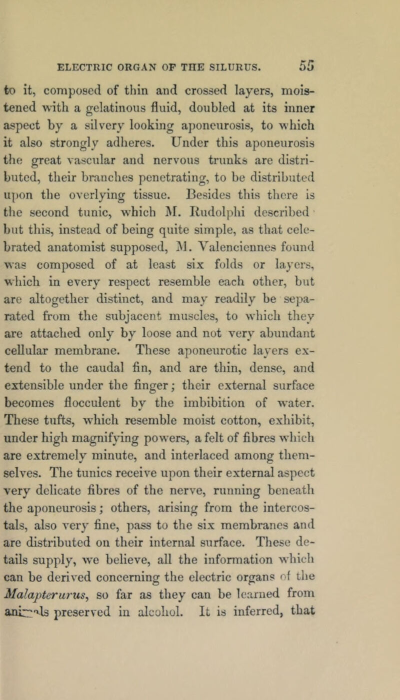 to it, composed of thin and crossed layers, mois- tened with a gelatinous fluid, doubled at its inner aspect by a silvery looking aponeurosis, to which it also strongly adheres. Under this aponeurosis the great vascular and nervous trunks are distri- buted, their branches penetrating, to be distributed upon the overlying tissue. Besides this there is the second tunic, which M. Rudolphi described but this, instead of being quite simple, as that cele- brated anatomist supposed, M. Valenciennes found was composed of at least six folds or layers, which in every respect resemble each other, but are altogether distinct, and may readily be sepa- rated from the subjacent muscles, to which they are attached only by loose and not very abundant cellular membrane. These aponeurotic layers ex- tend to the caudal fin, and are thin, dense, and extensible under the finger; their external surface becomes flocculent bv the imbibition of water. These tufts, which resemble moist cotton, exhibit, under high magnifjdng powers, a felt of fibres which are extremely minute, and interlaced among them- selves. The tunics receive upon their external aspect very delicate fibres of the nerve, running beneath the aponeurosis; others, arising from the intercos- tals, also very fine, pass to the six membranes and are disti’ibuted on their internal surface. These de- tails supply, we believe, all the information which can be derived concerning the electric organs of the Malapterurus^ so far as they can be learned from anir'‘'l3 preserved in alcohol. It is inferred, that
