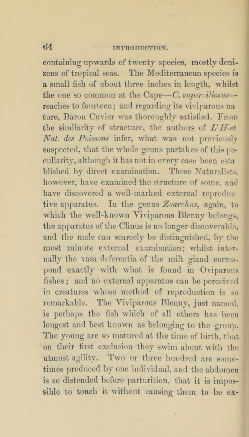 containing upwards of twenty species, mostly deni- zens of tropical seas. The Mediterranean species is a small fish of about three inches in length, whilst the one so common at the Cape—C. super, i/iosus—• reaches to fourteen; and regarding its viviparous na ture, Baron Cuvier was thoroughly satisfied. From the similarity of structure, the authors of L’Hist Nat. des Poissons infer, what was not previously suspected, that the whole genus partakes of this pe- culiarity, although it has not in every case been esta blished by direct examination. These Naturalists, however, have examined the structure of some, and have discovered a well-marked external rcproduc tive apparatus. In the genus Zoarchu.% again, to which the well-known Viviparous Blenny belongs, the apparatus of the Clinus is no longer discoverable, and the male can scarcely be distinguished, by the most minute external examination; whilst inter- nally the vasa deferentia of the milt gland corres- pond exactly with what is found in Oviparous fishes; and no external apparatus can be perceived in creatures whose method of reproduction is so remarkable. The Viviparous Blenny, just named, is perhaps the fish which of all others has been longest and best known as belonging to the grou]). The young arc so matured at the time of birth, that on their first exclusion they swim about with the utmost agility. Two or three hundred are some- times produced by one individual, and the abdomen is so distended before parturition, that it is imjtos- siblc to touch it without causing them to be ex-