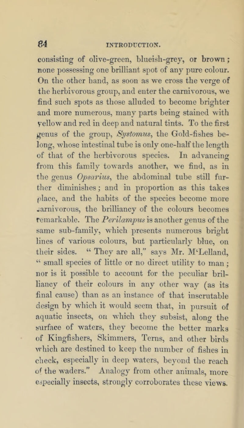 consisting of olive-green, blueish-grey, or brown ; none possessing one brilliant spot of any pure colour. On the other band, as soon as we cross the verge of the herbivorous group, and enter the carnivorous, we find such spots as those alluded to become brighter and more numerous, many parts being stained with yellow and red in deep and natural tints. To the first genus of the group, Systomus, the Gold-fishes be- long, whose intestinal tube is only one-half the length of that of the herbivorous species. In advancing from this family towards another, we find, as in the genus Opsai'ius, the abdominal tube still fur- ther diminishes; and in proportion as this takes place, and the habits of the species become more ..arnivorous, the brilliancy of the colours becomes remarkable. The Perilampus is another genus of the same sub-family, which presents numerous bright lines of various colours, but particularly blue, on their sides. “ They are all,” says ]\Ir. ]\I‘Lelland, “ small species of little or no direct utility to man; nor is it possible to account for the peculiar bril- liancy of their colours in any other way (as its final cause) than as an instance of that inscrutable design by which it would seem that, in pursuit of aquatic insects, on which they subsist, along the svirface of waters, they become the better marks of Kingfishers, Skimmers, Tcnis, and other birds which are destined to keep the number of fishes in check, es]iecially in deep waters, beyond the reach of the waders.” Analogy from other animals, more especially insects, strongly corroborates these views.