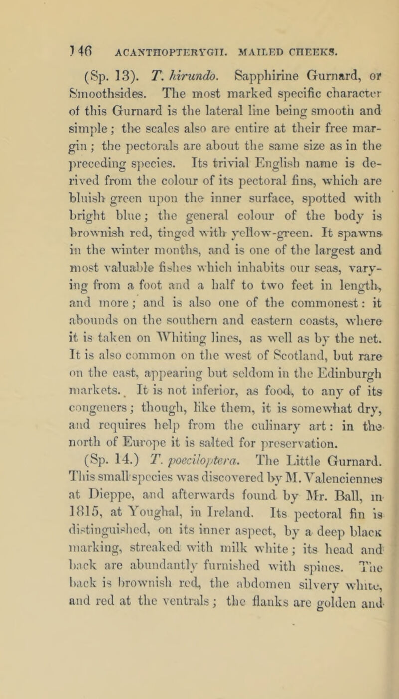 (Sp. 13). T. hirundo. Sapphirine Gurnard, or S'lnoothsides. The most marked specific character of this Gurnard is the lateral line beinff smooth and o simple; tl>e scales also are entire at their free mar- gin ; the pectorals are about the same size as in the jireccding sjiecies. Its trivial English name is de- rived from the colour of its pectoral fins, which are bluish green upon the inner surface, spotted with hriglit blue; the general colour of the body is brownish red, tinged witlr yellow-green. It spawns in the winter months, and is one of the largest and most valuable fishes which inliabits our seas, vary- ing from a foot and a half to two feet in length, and more; and is also one of the commonest: it abounds on the southern and eastern coasts, where it is taken on AVhiting lines, as well as by the net. It is also common on the west of Scotland, but rare on tlie east, appearing but seldom iu the Edinburgh markets.. It is not inferior, as food, to any of its congeners; though, like them, it is somewhat dry, and requires help from the culinary art: in the north of Europe it is salted for preservation. (Sp. 14.) T poeciloptera. The Little Gurnard. Tliis small species was discovered by ]\I. Valenciennes at Dieppe, and afterwards found by INIr. Ball, in 1815, at Youglial, in Ireland. Its pectoral fin is distinguislied, on its inner aspect, by a deep blacK marking, streaked with milk white; its head and back are abundantly furnished with spines. T’ue back is brownish red, the abdomen silvery while, and red at the ventrals; the flanks are golden and