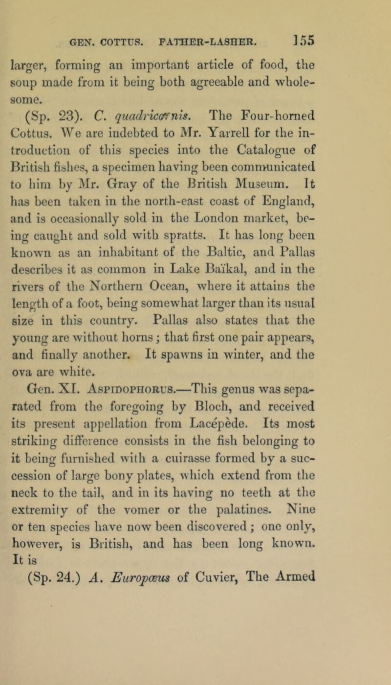 GEN. COTTUS, PATHER-LASnER, larger, forming an important article of food, the soup made from it being both agreeable and whole- some. (Sp. 23). C. quadi'iconnis. The Four-homed Cottus, We are indebted to Mr. Yarrell for the in- troduction of tliis species into the Catalogue of British fishes, a specimen having been comnniuicated to him by Mr. Gray of the British Museum. It has been taken in the north-east coast of England, and is occasionally sold in the London market, be- ing caught and sold with spratts. It has long been known as an inhabitant of the Baltic, and Pallas describes it as common in Lake Baikal, and in the rivers of the Northern Ocean, where it attains the length of a foot, being somewhat larger than its usual size in this country. Pallas also states that the young are without horns; that first one pair appears, and finally another. It spawns in winter, and the ova are white. Gen, XL Aspidophorus.—This genus was sepa- rated from the foregoing by Bloch, and received its present appellation from Lacepede. Its most striking difference consists in the fish belonging to it being furnished with a cuirasse formed by a suc- cession of large bony plates, which extend from the neck to the tail, and in its having no teeth at the extremity of the vomer or the palatines. Nine or ten species have now been discovered ; one only, however, is British, and has been long known. It is (Sp. 24.) A. Europema of Cuvier, The Armed