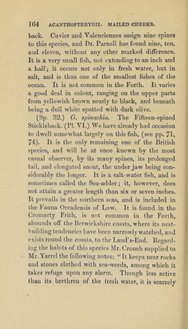 back. Cuvier and Valenciennes assign nine spines to this species, and Dr. Parnell has found nine, ten, and eleven, without any other marked difference. It is a very small fish, not extending to an inch and a half; it occurs not only in fresh water, but in salt, and is thus one of the smallest fishes of the ocean. It is not common in the Forth. It varies a good deal in colour, ranging on the upper parts from yellowish brown nearly to black, and beneath being a dull white spotted with dark olive. (Sp. 32.) G. spinachia. The Fifteen-spined Stickleback. (PI. VI.) We have already had occasion to dwell somewhat largely on this fish, (see pp. 71, 74). It is the only remaining one of the British species, and will be at once known by the most casual observer, by its many spines, its prolonged tail, and elongated snout, the under jaw being con- siderably the longer. It is a salt-water fish, and is sometimes called the Sea-adder; it, however, does not attain a greater length than six or seven inches. It prevails in the northern seas, and is included in the Fauna Orcadensis of Low. It is found in the Cromarty Frith, is not common in the Forth, abounds off the Berwickshire coasts, where its nest- huilding tendencies have been narrowly watched, and exists round the coasts, to the Land’s-End. Regard- ing the habits of this species Mr. Crouch supplied to 1 Mr. Yarrel the following notes: “ It keeps near rocks and stones clothed with sea-weeds, among which it takes refuge upon any alarm. Though less active than its brethren of the fresh water, ii is scarcely