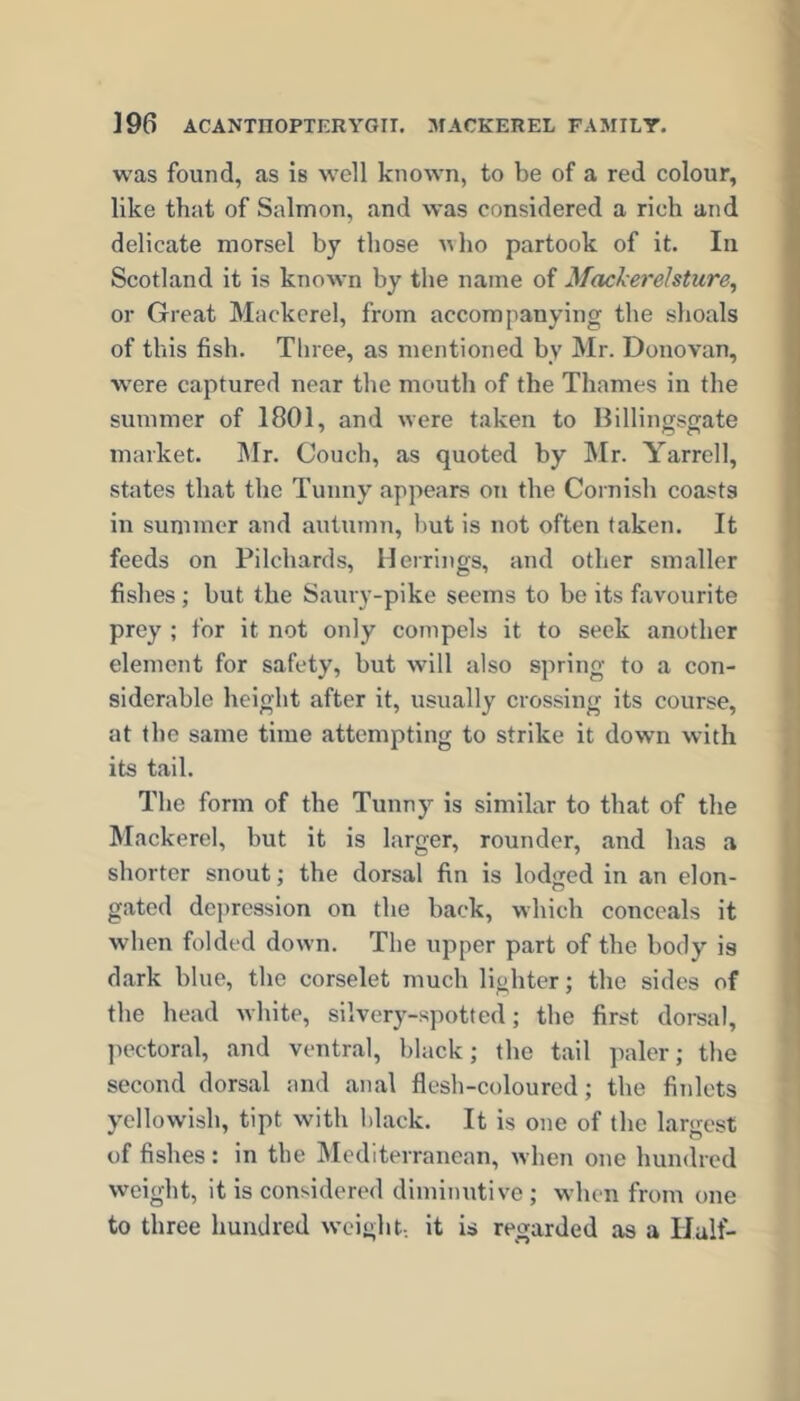 was found, as is well known, to be of a red colour, like that of Salmon, and was considered a rich and delicate morsel by those who partook of it. In Scotland it is known by the name of Mackerehture^ or Great Mackerel, from accompanying the shoals of this fish. Three, as mentioned by Mr. Donovan, were captured near the mouth of the Thames in the summer of 1801, and were taken to Billingsgate market. Mr. Couch, as quoted by Mr. Yarrell, states that the Tunny appears on the Cornish coasts in summer and autumn, but is not often taken. It feeds on Pilchards, Herrings, and other smaller fishes; but the Saury-pike seems to be its favourite prey ; for it not only compels it to seek another element for safety, but will also spring to a con- siderable height after it, usually crossing its course, at the same time attempting to strike it down with its tail. The form of the Tunny is similar to that of the Mackerel, but it is larger, rounder, and has a shorter snout; the dorsal fin is lodged in an elon- gated dejiression on the back, which conceals it when folded down. The upper part of the body is dark blue, the corselet much lighter; the sides of the head white, silvery-spotted; the first dorsal, ]iectoral, and ventral, black; the tall jialer; the second dorsal and anal flesh-coloured; the fijilets yellowish, tipt with black. It is one of the largest of fishes : in the Mediterranean, when one hundred weight, it is considered diminutive ; when from one to three hundred weight-, it is regarded as a Half-