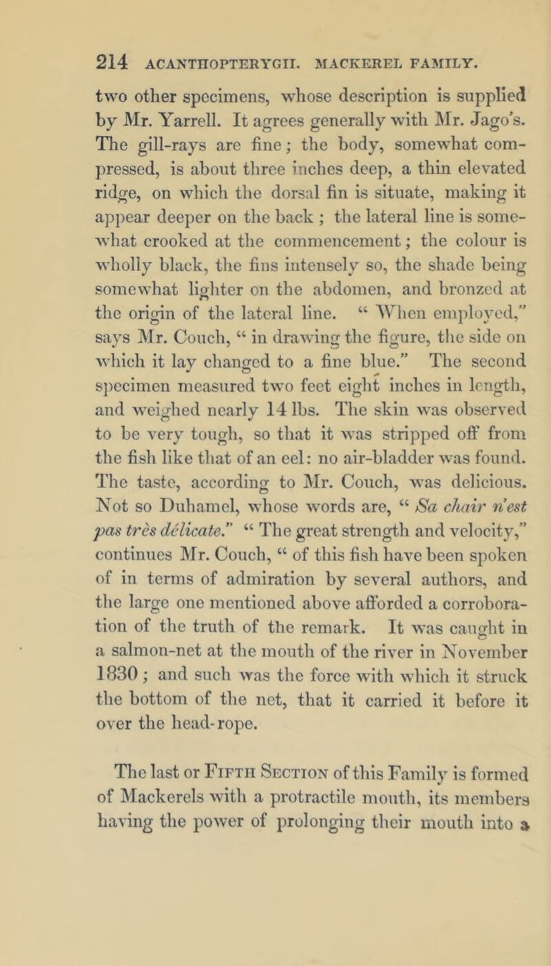 two other specimens, whose description is supplied by Mr. Yarrell. It agrees generally with ]\Ir. Jago’s. The gill-rays arc fine; the body, somewhat com- pressed, is about three inches deep, a thin elevated ridge, on which the dorsal fin is situate, making it appear deeper on the back ; the lateral line is somc- Avhat crooked at the commencement; the colour is wholly black, the fins intensely so, the shade being somewhat lighter on the abdomen, and bronzed at the origin of the lateral line. “ Wlien employed,” says Mr. Couch, “ in drawing the figure, the side on which it lay changed to a fine blue.” The second specimen measured two feet eight inches in length, and weighed nearly 14 lbs. The skin was observed to be very tough, so that it was stripped oft' from the fish like that of an eel: no air-bladder was found. The taste, according to Mr. Couch, was delicious. Not so Duhamel, whose words are, “ Sa chair nest pas tres delicate.” “ The great strength and velocity,” continues Mr. Couch, “ of this fish have been spoken of in terms of admiration by several authors, and the large one mentioned above aftbrded a corrobora- tion of the truth of the remark. It was caught in o a salmon-net at the mouth of the river in November 1830; and such was the force with which it struck the bottom of the net, that it carried it before it over the head-rope. Tlie last or Fifth Section of this Family is formed of Mackerels with a protractile mo\ith, its members having the power of prolonging their mouth into »