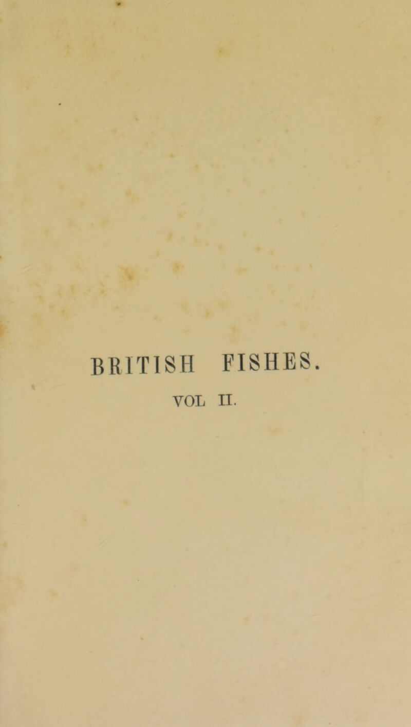 BRITISH FISHES.