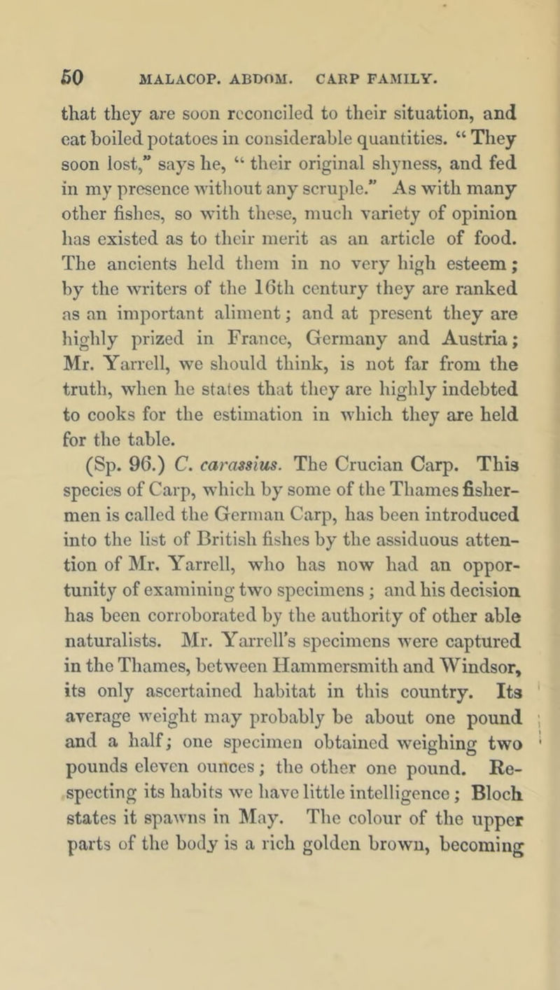 that they are soon reconciled to their situation, and eat boiled potatoes in considerable quantities. “ They soon lost,” says he, “ their original shyness, and fed in my presence without any scruple.” As with many other fishes, so with these, much variety of opinion has existed as to their merit as an article of food. The ancients held them in no very high esteem; by the writers of the 16th century they are ranked ns an important aliment; and at present they are highly prized in France, Germany and Austria; Mr. Yarrell, we should think, is not far from the truth, when he states that they are highly indebted to cooks for the estimation in which they are held for the table. (Sp. 96.) C. carassius. The Crucian Carp. This species of Carp, which by some of the Thames fisher- men is called the German Carp, has been introduced into the list of British fishes by the assiduous atten- tion of Mr. Yarrell, who has now had an oppor- tunity of examining two specimens ; and his decision has been corroborated by the authority of other able naturalists. Mr. Yarrcll’s specimens were captured in the Thames, between Hammersmith and Windsor, its only ascertained habitat in this country. Its average weight may probably be about one pound and a half; one specimen obtained weighing two pounds eleven ounces; the other one pound. Re- specting its habits we have little intelligence ; Bloch states it spawns in May. The colour of the upper parts of the body is a rich golden brown, becoming
