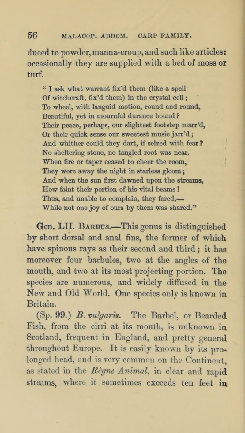 duced to powder,manna-croup,and such like articles: occasionally they are supplied with a bed of moss or turf. “ I ask what warrant fix’d them (like a spell Of witchcraft, fix’d them) in the crystal cell; To wheel, with languid motion, round and round, Beautiful, yet in mournful durance bound ? Their peace, perhaps, our slightest footstep marr’d, Or their quick sense our sweetest music jarr’d; And whither could they dart, if seized with fear ? No sheltering stone, no tangled root was near. When fire or taper ceased to cheer the room, They wore away the night in starless gloom; And when the sun first dawned upon the streams, How faint their portion of his vital beams! Thus, and unable to complain, they fared,— While not one joy of ours by them was shared.” Gen. LTI. Barbus.—This genus is distinguished by short dorsal and anal fins, the former of which have spinous rays as their second and third; it has moreover four barbules, two at the angles of the mouth, and two at its most projecting portion. The species are numerous, and widely diffused in the New and Old World. One species only is known in Britain. (Sp. 99.) B. vulgaris. The Barbel, or Bearded Fish, from the cirri at its mouth, is unknown in Scotland, frequent in England, and pretty general throughout Europe. It is easily known by its pro- longed head, and is very common on <he Continent, as stated in the Rcgne Animal, in clear and rapid streams, where it sometimes exceeds teu feet in