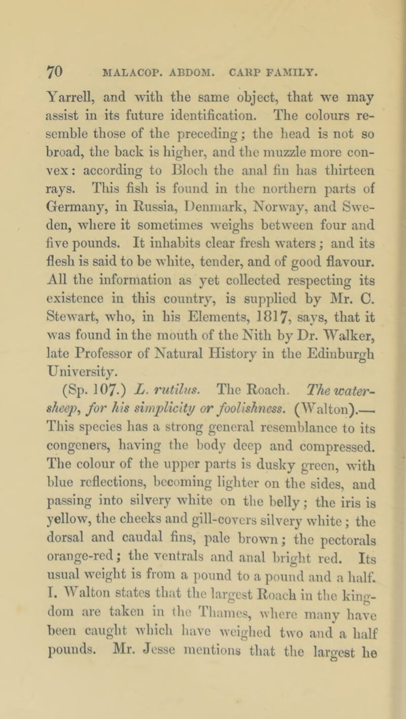 Yarrell, and with the same object, that we may assist in its future identification. The colours re- semble those of the preceding; the head is not so broad, the back is higher, and the muzzle more con- vex : according to Bloch the anal fin has thirteen rays. This fish is found in the northern parts of Germany, in Russia, Denmark, Norway, and Swe- den, where it sometimes weighs between four and five pounds. It inhabits clear fresh waters; and its flesh is said to be white, tender, and of good flavour. All the information as yet collected respecting its existence in this country, is supplied by Mr. C. Stewart, who, in his Elements, 1817, says, that it was found in the mouth of the Nitli by Dr. Walker, late Professor of Natural History in the Edinburgh University. (Sp. 107.) L. rutilus. The Roach. The water- sheep, for his simplicity or foolishness. (Walton).— This species has a strong general resemblance to its congeners, having the body deep and compressed. The colour of the upper parts is dusky green, with blue reflections, becoming lighter on the sides, and passing into silvery white on the belly; the iris is yellow, the cheeks and gill-covers silvery white ; the dorsal and caudal fins, pale brown; the pectorals orange-red; the ventrals and anal bright red. Its usual weight is from a pound to a pound and a half. I. Walton states that the largest Roach in the king- dom are taken in (lie Thames, where many have been caught which have weighed two and a half pounds. Mr. Jesse mentions that the lamest he u