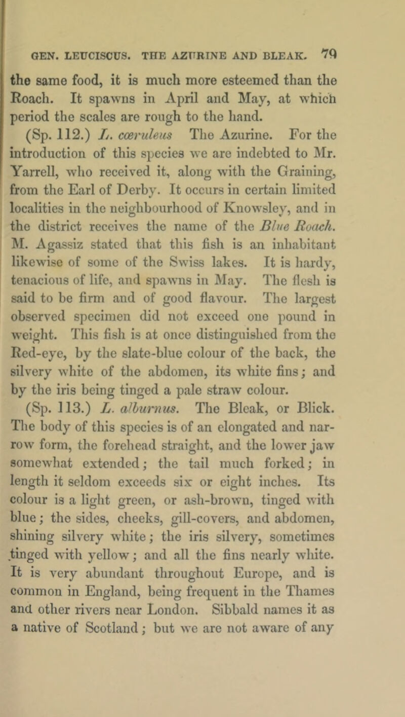 GEN. LEUCISCUS. THE AZURINE AND BLEAK. the same food, it is much more esteemed than the Roach. It spawns in April and May, at which period the scales are rough to the hand. (Sp. 112.) L. cceruleus The Azurine. For the introduction of this species we are indebted to Mr. Yarrell, who received it, along with the Graining, from the Earl of Derby. It occurs in certain limited localities in the neighbourhood of Knowsley, and in the district receives the name of the Blue Roach. M. Agassiz stated that this fish is an inhabitant likewise of some of the Swiss lakes. It is hardy, tenacious of life, and spawns in May. The flesh is said to be firm and of good flavour. The largest observed specimen did not exceed one pound in weight. This fish is at once distinguished from the Red-eye, by the slate-blue colour of the back, the silvery white of the abdomen, its white fins; and by the iris being tinged a pale straw colour. (Sp. 113.) L. alhumus. The Bleak, or Blick. The body of this species is of an elongated and nar- row form, the forehead straight, and the lower jaw somewhat extended; the tail much forked; in length it seldom exceeds six or eight inches. Its colour is a light green, or ash-brown, tinged with blue; the sides, cheeks, gill-covers, and abdomen, shining silvery white; the iris silvery, sometimes tinged with yellow; and all the fins nearly white. It is very abundant throughout Europe, and is common in England, being frequent in the Thames and other rivers near London. Sibbald names it as a native of Scotland ; but we are not aware of any