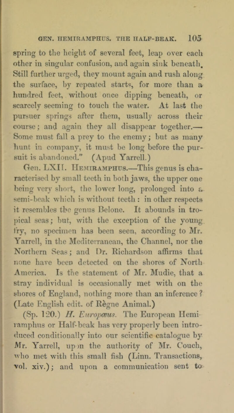 spring to the height of several feet, leap over each other in singular confusion, and again sink beneath. Still further urged, they mount again and rush along the surface, by repeated starts, for more than a hundred feet, without once dipping beneath, or scarcely seeming to touch the water. At last the pursuer springs after them, usually across their course; and again they all disappear together.—■ Some must fall a prey to the enemy; but as many hunt in company, it must be long before the pur- suit is abandoned.” (Apud Yarrell.) Gen. LXII. IIemiramphus.—This genus is cha- racterised by small teeth in both jaws, the upper one being very short, the lower long, prolonged into a semi-beak which is without teeth : in other respects it resembles the genus Belone. It abounds in tro- pical seas; hut, with the exception of the young fry, no specimen has been seen, according to Mr. Yarrell, in the Mediterranean, the Channel, nor the Northern Seas; and Dr. Richardson affirms that none have been detected on the shores of North America. Is the statement of Mr. Mudie, that a stray individual is occasionally met with on the shores of England, nothing more than an inference ? (Late English edit, of Regne Animal.) (Sp. 1‘20.) H. Europeans. The European Ilemi ramphus or Half-beak has very properly been intro- duced conditionally into our scientific catalogue by Mr. Yarrell, up m the authority of Mr. Couch, who met with this small fish (Linn. Transactions, vol, xiv.); and upon a communication sent to