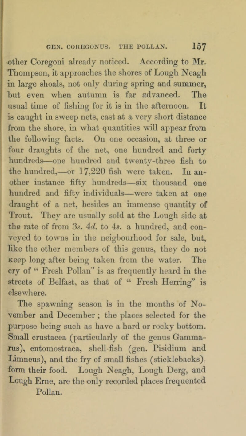 other Coregoni already noticed. According to Mr. Thompson, it approaches the shores of Lough Neagh in large shoals, not only during spring and summer, hut even when autumn is far advanced. The usual time of fishing for it is in the afternoon. It is caught in sweep nets, cast at a very short distance from the shore, in what quantities will appear from the following facts. On one occasion, at three or four draughts of the net, one hundred and forty hundreds—one hundred and twenty-three fish to the hundred,—or 17,220 fish were taken. In an- other instance fifty hundreds—six thousand one hundred and fifty individuals—were taken at one draught of a net, besides an immense quantity of Trout. They are usually sold at the Lough side at the rate of from 3s. Ad. to As. a hundred, and con- veyed to towns in the neigbourhood for sale, but, like the other members of this genus, they do not Keep long after being taken from the water. The cry of “ Fresh Pollan’’ is as frequently heard in the streets of Belfast, as that of “ Fresh Herring” is elsewhere. The spawning season is in the months of No- vember and December; the places selected for the purpose being such as have a hard or rocky bottom. Small Crustacea (particularly of the genus Gainma- rus), entomostraca, shell fish (gen. Pisidium and Limneus), and the fry of small fishes (sticklebacks) form their food. Lough Neagh, Lough Derg, and Lough Erne, are the only recorded places frequented Pollan.