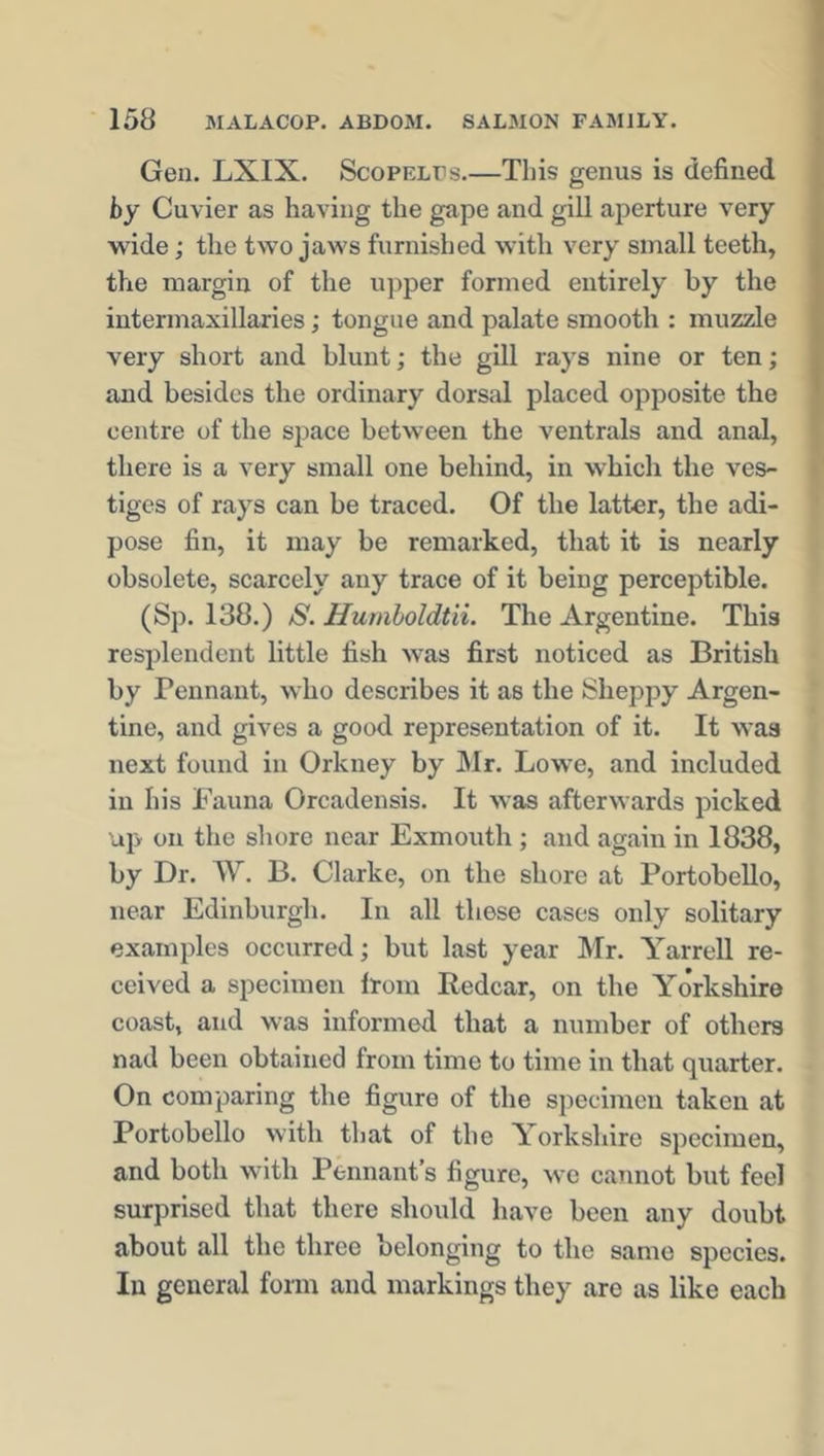 Gea. LXIX. Scopelfs This genus is defined by Cuvier as having the gape and gill aperture very- wide ; the two jaws furnished with very small teeth, the margin of the upper formed entirely by the intermaxillaries; tongue and palate smooth : muzzle very short and blunt; the gill rays nine or ten; and besides the ordinary dorsal placed opposite the centre of the space between the ventrals and anal, there is a very small one behind, in which the ves- tiges of rays can be traced. Of the latter, the adi- pose fin, it may be remarked, that it is nearly obsolete, scarcely any trace of it being perceptible. (Sp. 138.) iS. Humboldtii. The Argentine. This resplendent little fish was first noticed as British by Pennant, who describes it as the Sheppy Argen- tine, and gives a good representation of it. It was next found in Orkney by Mr. Lowe, and included in his Fauna Orcadensis. It was afterwards picked up on the shore near Exmouth ; and again in 1838, by Dr. W. B. Clarke, on the shore at Portobello, near Edinburgh. In all these cases only solitary examples occurred; but last year Mr. Yarrell re- ceived a specimen from Redcar, on the Yorkshire coast, and was informed that a number of others nad been obtained from time to time in that quarter. On comparing the figure of the specimen taken at Portobello with that of the Yorkshire specimen, and both with Pennant’s figure, we cannot but feel surprised that there should have been any doubt about all the three belonging to the same species. In general form and markings they are as like each