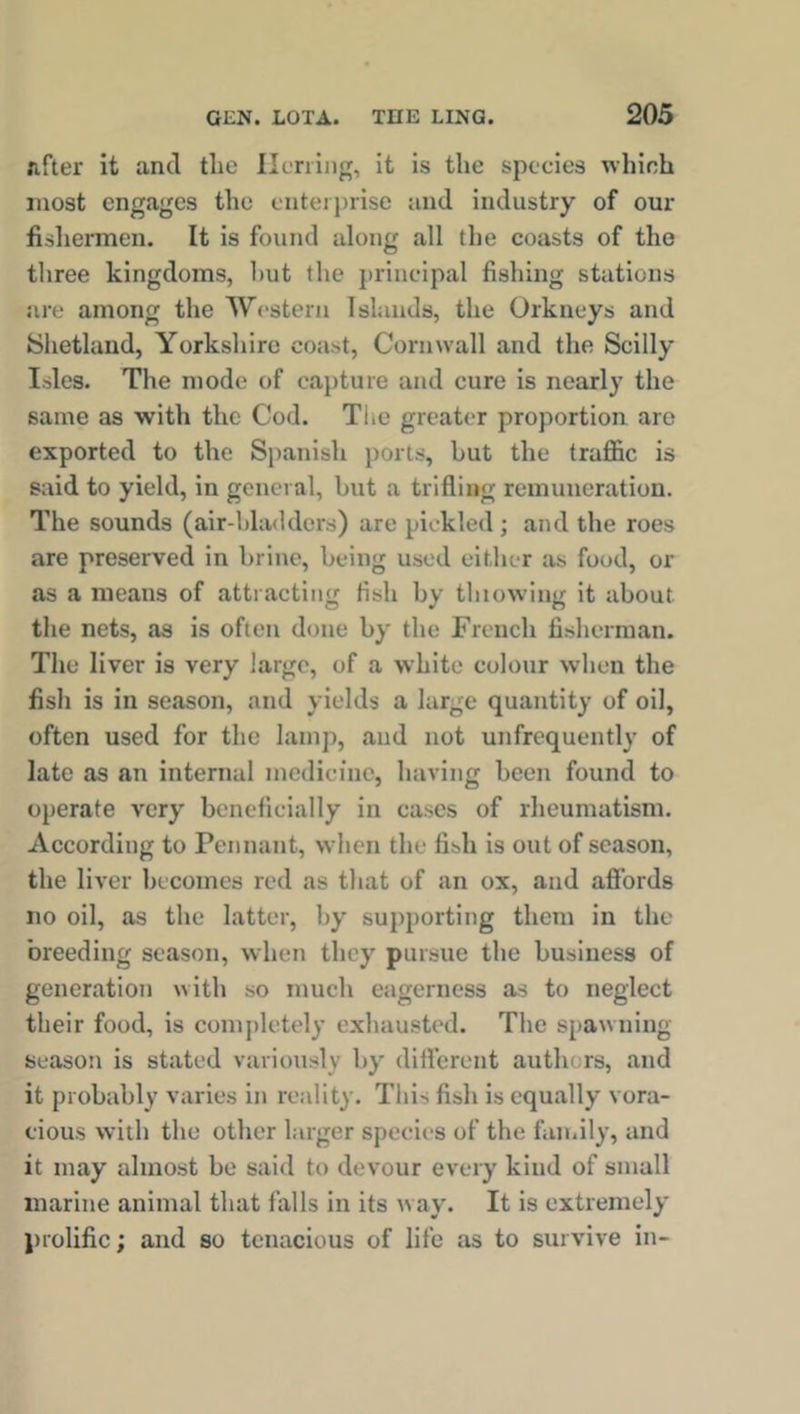 lifter it and the Herring, it is the species which most engages the enterprise and industry of our fishermen. It is found along all the coasts of the three kingdoms, hut the principal fishing stations are among the Western Islands, the Orkneys and Shetland, Yorkshire coast, Cornwall and the Scilly Isles. The mode of capture and cure is nearly the same as with the Cod. The greater proportion are exported to the Spanish ports, but the traffic is said to yield, in general, hut a trifling remuneration. The sounds (air-bladders) are pickled; and the roes are preserved in brine, being used either as food, or as a means of attracting fish by tlnowing it about, the nets, as is often done by the French fisherman. The liver is very large, of a white colour when the fish is in season, and yields a large quantity of oil, often used for the lamp, and not unfrequently of late as an internal medicine, having been found to operate very beneficially in cases of rheumatism. According to Pennant, when the fish is out of season, the liver becomes red as that of an ox, and affords no oil, as the latter, by supporting them in the breeding season, when they pursue the business of generation with so much eagerness as to neglect their food, is completely exhausted. The spawning season is stated variously by different authors, and it probably varies in reality. This fish is equally vora- cious with the other larger species of the family, and it may almost be said to devour every kind of small marine animal that falls in its way. It is extremely prolific; and so tenacious of life as to survive in-