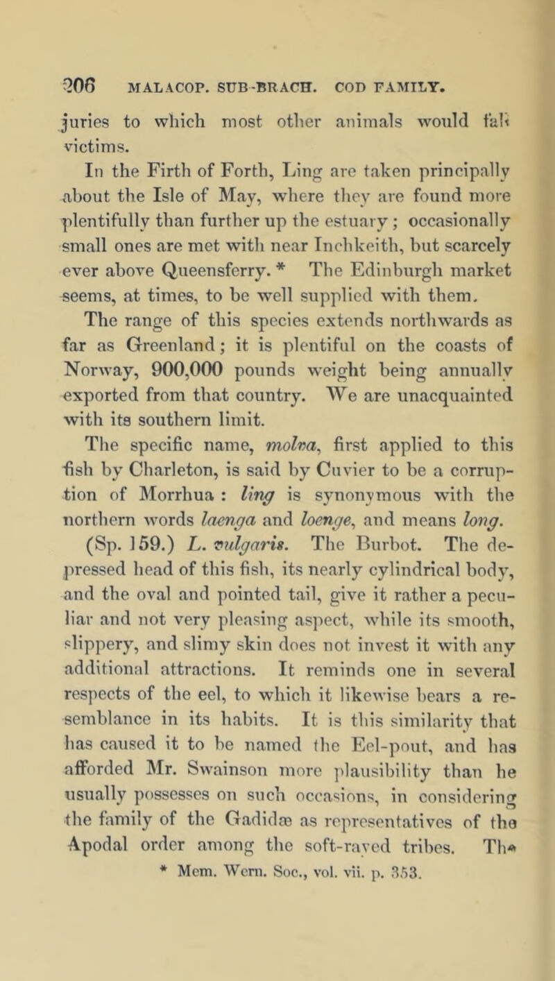 juries to which most other animals would tali victims. In the Firth of Forth, Ling are taken principally about the Isle of May, where they are found more plentifully than further up the estuary; occasionally small ones are met with near Inchkeith, but scarcely ever above Queensferry. * The Edinburgh market seems, at times, to be well supplied with them. The range of this species extends northwards as far as Greenland; it is plentiful on the coasts of Norway, 900,000 pounds weight being annually exported from that country. We are unacquainted with its southern limit. The specific name, molva, first applied to this fish by Charleton, is said by Cuvier to be a corrup- tion of Morrhua : ling is synonymous with the northern words laenga and loenge, and means long. (Sp. 159.) L. vulgaris. The Burbot. The de- pressed head of this fish, its nearly cylindrical body, and the oval and pointed tail, give it rather a pecu- liar and not very pleasing aspect, while its smooth, slippery, and slimy skin does not invest it with any additional attractions. It reminds one in several respects of the eel, to which it likewise bears a re- semblance in its habits. It is this similarity that has caused it to be named the Eel-pout, and has afforded Mr. Swainson more plausibility than he usually7 possesses on such occasions, in considering the family of the Gadidoe as representatives of the Apodal order among the soft-raved tribes. Th* * Mem. Worn. Soc., vol. vii. p. 353.