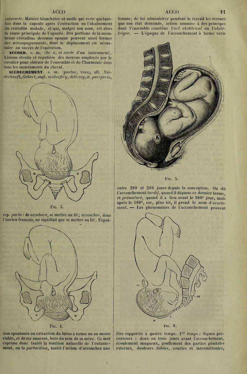 ACCÜ cataracte. Matière blaneliâtre et molle qui reste quelque- fois dans la capsule après l’extraction ou l’abaissement (lu cristallin malade, et qui, malgré son nom, est alors la cause principale de l’opacité. Des portions delà mem- brane cristalline devenue opaque peuvent aussi former des accompagnements, dont le ' déplacement est néces- saire au succès de l’opération. ACCORD, s. m. [de à, et corde d’un instrument]. Liaison étroite et régulière des moyens employés par le cavalier pour obtenir de l’ensemble et de riiarmonie dans tous les mouvements du cheval. ACCOUCHEMENT, s. m. [partus, to'xoç, ail. Nie- (tcrkunft, Gebvrt, angl. midwifery, delicery, it. piterperio. csp. parto : de accubare, se mettre au lit; accoucher, dans l’ancien français, ne signifiait que se mettre au lit]. Expul- sion spontanée ou extraction du fœtus à terme ou au moins viable, et de ses annexes, hors du sein de sa mère. Ce mot exprime donc tantôt la fonction naturelle de l’enfante- ment, ou la partiirition, tantôt l’action d’accoucher une ACCÜ 11 femme, de lui administrer pendant le travail les secours que son état demande, action soumise à des principes dont l’ensemble constitue Vart obstétrical ou l'obsté- trique. — L’époque de raccouchemont à terme varie Fro. 5. entre 260 et 280 jours depuis la conception. On dit l’accouchement tardif, quand il dépasse ce dernier terme, et prématuré, quand il a lieu avant le 260® jour, mais après le 180®, car, plus tôt, il prend le nom iVauorte- ment.— I-es phénomènes .de l’accouchement peuvent FIG. 6. être rapportés à quatre temps. 1®'’ temps ; Signes pré- curseurs : deux ou trois jours avant l’accouchement, écoulement muqueux, gonflement des parties génitales externes, douteurs faibles, courtes et intermittentes,