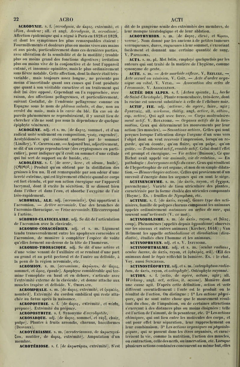 ACRODYNIE, s. I'. \acrodynia, de aupcç, extrémité, et douleur; ail. et angl. Acrodynia, it. acrodmia], AU'ection épidémique qui a régné à Paris en 1828 et 1829, et dont les symptômes les plus remarquables étaient : Fourmillements et douleurs plus ou moins vives aux mains et aux pieds, particulièrement dans ces dernières parties, avec altération de la sensibilité et de la motilité; trouble plus ou moins grand des fonctions digestives; irritation plus ou moins vive de la conjonctive et de tout l’appareil cutané, et insomnie opiniâtre, mais le plus ordinairement sans fièvre notable. Cette aflection, dont la durée était très- variable , mais toujours assez, longue, ne présente pas moins d’incertitude quant aux causes qui font produite que quant à son véritable caractère et au traitement qui doit lui être opposé. Cependant on l’a rapprochée, avec raison, des alfections pellagreuses, et particulièrement, suivant Costallat, de l’endémie pellagreuse connue en Espagne sous le nom de phlema snlnda, et due, non au oerdet du maïs, mais à la carie du blé. En cas où de pareils phénomènes se reproduiraient, il y aurait lieu de chercher s’ils ne sont pas sous la dépendance de quelque épiphyte vénéneux. AGROGÈNE. adj. et s. m. [de àxpoç, sommet, et d’un radical usité seulement en composition, 'yevr;;, engendré]. Acotylédonées qui croissent surtout par le sommet (Lindley). V. Cryptogame. = Aujourd’hui, adjectivement, se dit d’un corps reproducteur (des cryptogames en parti- culier), pour indiquer qu’il croît au sommet d’une cellule qui lui sert de support ou de baside, etc. ACROLÉINE, s. f. [de acer, âcre, et oleum, huile]. (C^H^O^.) Produit qu’on obtient par la distillation des graisses à feu nu. Il est remarquable par son odeur d’une âcreté extrême, qui est légèrement éthérée quand ce corps est fort étendu, et par son action énergique sur l’appareil lacrymal, dont il excite la sécrétion. 11 se dissout bien dans l’éther et dans l’eau, et absorbe l’oxygène de l’air très-rapidement. ACROMIAL, ALE. adj. [acrominlis]. Qui appartient à l’acromion. — Artère acromiale. Une des branches de l’acromio-thoracique. — Veine acromiale. Elle correspond à l’artère. AGROMIO-CLAVIGCLAIRE. adj. Se dit de l’articulation de l’acromion avec la clavicule. ACROMIO-CORAGOÏDIËN. adj. et s. m. Ligament tendu transversalement entre les apophyses coracoïdes et l’acromion, de manière à compléter l’espèce de voûte qu’elles forment au-dessus de la tête de l’humérus. ACROMIO-THORACIQUE. adj. Se dit d'une artère et d’une veine venant de l’axillaire et se rendant d'une part au grand et au petit pectoral et de l’autre au deltoïde, à la peau de la région acromiale, etc. AGROMION. s. m. [acromium, àxpdo.tov, de àapoî, sommet, et (op.o;, épaule]. Apophyse considérable qui ter- mine l’omoplate en haut et en dehors, s’articule avec l’extrémité externe de la clavicule, et donne attache aux muscles trapèze et deltoïde. V. Omoplate. ACROMPIIALE. s. m. [de àîcpc;, extrémité, et ip.oaXc;, nombril]. Extrémité du cordon ombilical qui reste atta- chée an fœtus après la naissance. ACROPOSTIIIE. s. f. [de Mpoç, extrémité, et Tro'oOïi, prépuce]. Extrémité du prépuce. AGROPOSTHITE. s. f. Synonyme iVacrobyslite. ACROSARQUE. adj. [do àxpo;, sommet, et làp?, cjiair, pulpe]. Plantes à fruits arrondis, charnus, bacciformes (Desvaux). AGROTÉRIASME. s. m. [acroteriasmiis, de àxpuTvipta- ÎEiv, nmtiler, de àzpcç, extrémité]. Amputation d’un membre. AGROTÉRIOSE. S. f. [de àxpwTYÎpicv, extrémité]. S’est dit de la gangrène sénile des extrémités des membres, do leur manque tératologique et de leur ablation. AGROTHYMION. s. m. [de àxpe;, élevé, et 0ûp.!c.v, verrue]. Nom donné par les anciens à do petites tumeurs verruqueuses, dures, rugueuses à leur sommet, s’excoriant facilement et donnant une certaine quantité de sang, V. Papilloma, AGTA. s. m. pl. Mot latin, employé quelquefois par les auteurs qui ont traité de la matière de l’hygiène, comme synonyme de gesta. AGTE. s. m, — Acte inorhide réflexe. Y, Réflexe, — Acte sexuel ou vénérien. V. Guït, — Acte d’ordre orga^ nique ou vital. V. Vital. — Association des actes de l'économie. V. Association. AGTÉE DES ALPES, s. f. [Actæa spicata, L., herbe de Saint-Christophe']. Plante renonculacée, très-âcre, dont la racine est souvent substituée â celle de l'ellébore noir. AGTIF, IVE. adj. [activus, de, agere, faire, agir; (^paoTiicc;, ail. wirksam, thütig, angl. active, it. attivo, esp. activa]. Qui agit avec force. — Corps moléculaire- ment actif. V. Rotatoire. — Organes actifs de la loco- motion. Ceux qui déterminent les mouvements par leur action (les muscles). —Sensations actives. Celles qui sont perçues lorsque l’attention dirige l’organe d’un sens vers l'objet dont on veut recevoir l'impression, lorsqu'on re- garde, qu’on écoute, qu’on flaire, qu'on palpe, qn’on goûte. — Traitement actif, remède actif. Celui dontl’ell'et est prompt et énergique. — Vie active (Buisson). Ce que Bichat avait appelé vie animale, vie de relation. — En pathologie : Anévrysmes actifs du caur. Ceux qui résultent de l’hypertrophie de cet organe, et non de sa simple dilata- tion. — Hémorrhagies actives. Celles qui proviennent d’un surcroît d’énergie dans les organes qui en sont le siège. AGTINENCHYME. S. m. [de àz-riv, rayon, et s-yx,up.œ, parenchyme]. Variété de tissu utricnlaire des plantes, caractérisée par la forme étoilée des utriculcs composants (Hayne). Ex. : feuilles de Nymphœa, etc. AGTINIE. s. f. [de axTiv, rayon]. Genre type des acti- niaires, famille de polypes charnus composant les animaux appelés ordinairement anémones ou orties de mer, qui souvent sonVurticants (V. ce mot). AGTINOROLISME. S. m. [de àxViv, rayon, et PdXc?, coup]. Phénomènes (appelés depuis hypnotisme) observés sur les oiseaux et autres animaux (Kircher, 16â6) ; Van Helmont les appelle actinobolisrne et dirudiation [dira- diatio), étudiés chez l’homme et les animaux. AGTINOPHRYEN. adj. et s. V. Infusoire. AGTINOPHTHALME. adj. et s. m. [oculus radians, oculus lucens, de àjCTiv, rayon, et ôoôaXp.o;, œil]. Œil des animaux dont le tapis réfléchit la lumière. Ex. : le chat. Voy. aussi Synchysis. AGTINOSTÉOPHYTE. adj. et s. m. [osteophytum radia- tum, de àxrlv, rayon, ciostéophyte]. Ostéophyte rayonné. AGTION. s. f. [actio, do agere, actum, agir; ail. Wirkung, angl. act, action, it. azione]. Manière dont une cause agit. D’après cotte définition, action et -acte dill'èrent essentiellement : Vacte est le produit ou le résultat de l'action. On distingue : 1“ Los actions physi- ques, qui no sont autre chose que le mouvement résul- tant du choc, de l’impulsion, ou de cert.aines attractions s'exerçant â des distances plus ou moins éloignées : telle est faction de l'aimant, de la pesanteur, etc. 2“ Les actions chimiques, qui ont lieu entre les molécules des corps, et ont pour effet leur séparation, leur rapprochement ou leur combinaison. 3“ Les actions organiques o\xphysiolo- giques, qui se passent dans les êtres organisés, et carac- térisent la vie, comme la nutrition, faction des muscles, ou contraction, celle des nerfs, ou innervation, etc. Lorsque plusieurs actions combinées concourent au même but,elles