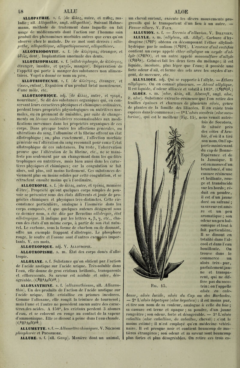 Zi8 ALLU ALLOPATHIE. S. i'. [de âXXcç, autre, et Ttccôo;, ma- ladie; ail. Allopathie, angl. allopathia]. Suivant Hahne- mann, méthode de traitement dans laquelle on l'ait usage de médicaments dont l’action sur l'homme sain produit des phénomènes morbides autres que ceux qu'on observe chez le malade. De ce mot sont dérivés ; allo- pathe, allopathique, allopathiquement, allopathiser. ALLOTRIODONTIE. s. f. [de àXXpTpic.;, étranger, et W'gù;, dentj. Implantation anormale des dents. ALLOTRIOPHAGIE. S. f. [allotriophagiu,Ac étranger, insolite, et (pa-yelv, manger]. Dépravation de l’appétit qui porte à manger des substances non alimen- taires. Vogel a donné ce nom au pica. ALLOTRIOTECAIE. s. f. [de àXXoTpio;, étranger, et TÎXVC.V,enfant]. Expulsion d’un produit fœtal monstrueux, d’une môle, etc. ALLOTROPHIQLE. adj. [de àXXoç, autre, et rptiyÀ, nourriture]. Se dit des substances organiques qui, en con- servant leurs car’acteres physiques et chimiques ordinaires, perdent leurs propriétés physiologiques ou nutritives nor- males, ou en prennent de nuisibles, par suite de change- ments ou lésions moléculaires reconnaissables aux modi- fications survenues dans les propriétés organiques de ces corps. Dans presque toutes les aiï'ections générales, ou altérations du sang, ralbumine et la fibrine olfrent un état allotrophique ; ou,' plus exactement, l’affection morbide générale nu l'altération du sang reconnaît pour cause l’état allotropbiquc de ces substances. Du reste, l'observation prouve que l'altér.ation do la fibrine, etc., no se mani- feste pas seulement par un changement dans les qualités trophiques ou nutritives, mais bien aussi dans les carac- tères physiques et chimiques; car la coagulation se fait alors, soit plus, soit moins facilement. Ces substances de- viennent plus ou moins solides par cette coagulation, et se rétractent ensuite moins qu’à l’ordinaire. ALLOTROPIE, s. f. [de àXXo;, autre, et rpoTto;, manière d’ètrc]. Propriété qu’ont quelques corps simples de pou- voir se présenter sous des états différents et jouir de pro- priétés chimiques et physiques très-distinctes. Cette cir- constance particulière, analogue à l’isoméric dans les corps composés, et que quelques auteurs désignent sous ce dernier nom, a été dite par Berzclius allotropie, état allotropique. 11 indique par les lettres a, fi, y, etc., cha- cun des états d’un même corps, à partir de son état natu- rel. Le carbone, sous la forme do charbon ou de diamant, offre un exemple frappant d’allotropie. Le phosphore rouge, le soufre et l’ozone sont d’autres exei^)les impor- tants. V. ces mots. ALLOTROPIQUE, adj. V. Allotropie. ALLOTROPISME. s. m. État dos corps doués d'allo- tropie. ALLOXANE. s. f. Substance qu’on obtient par l’action de l’acide azotique sur l’acide urique. Très-solublc dans l’eau, elle donne de gros cristaux brillants, transparents et efflorcscents. Sa saveur est acidulé et salée, dés- agréable. {C8H4Az2oio.) ALLOXAIVTHIIVE. S. f. falloxanthmum, ail. Alloxan- thin]. Un des produits de l’action do l'acide azotique sur l’acide urique. Elle cristallise en prismes incolores. Comme l’alloxane, elle rougit la teinture de tournesol ; mais l'une et l'autre ne possèdent aucun autre des carac- tères des acides. A 150°, les cristaux perdent 3 atonies d’eau, et se colorent en rouge au contact de la vapeur d’ammoniaque. Elle se dissout à peine dans l'eau chaude. (CSHSAz'iO*».) ALLUMETTE. S. f.—Allumettes chimiques. V. Nécrose phosphorée et Phosphore. ALLURE, s. f. [ail. Ga)ig], Manière dont un animal, ALOE un cheval surtout, exécute les divers mouvements pro- gressifs qui le transportent d’un lieu à un autre. — Fausse allure. V. Faux. ALLUVION. s. f. — Terrain d’alluvion. V. Diluvien. ALLYLE. s. m. [allylum, ail. Alli/l]. Carbure d'hy- drogène (C^H^) obtenu en décomposant l’éther allyliod- hydrique parle sodium (C^H^l). L'essence ci’ail rectifiée contient un corps appelé éther alli/lique ou o.r.yde d’al- lyle fC^H^O), et un autre appelé monosulfure d’allyle (C^H^S). Celui-ci fait les deux tiers du mélange; il est liquide, incolore, plus léger que l’eau; il possède une forte odeur d’ail, et forme dos sels avec les oxydes d’ar- gent, do mercure, etc. ALLYLIQÜE. adj. Qui se rapporte à l’allyle. —Éthers ollyliques. On en connaît plusieurs, — Alcool allylique. Il est liquide, d’odeur alliacée et volatil à 103“. (C^H^O^.) ALOÈS. s. m. [aloc, àXo'ïi, ail. Aloesaft, angl. aloe, it. al(je\ Substance extracto-résineuse que l’on retire des leuilles épaisses et charnues de plusieurs alors, genre de plantes de la famille des liliacées. Il en existe trois espèces danslecommerce:— i'^l.'aloèssocotrin {aloesoco- torina), qui est le meilleur (Fig. 15), nous venait autre- fois de Socotora, ilo située près des côtes d’Ara- bie, d'où il a tire son noni.On l’ap- porte maintenant dn cap de Bonne- Espérance et de la .lamaïque. 11 est en masses d’un brun foncé, d’une cassure résineuse et brillante, rou- ge et translucide sur les bords; ré- duit en poudre, il est d’un jaune doré ou safrané ; sa saveur est amè- re et un peu aromatique; son odeur un peu bal- samique et tout à fait particulière. 11 se dissout en totalité dans l’al- cool et dans l'eau bouillante. On trouve dans le commerce un aloès très - pur, parfaitementjau- nc et transpa- rent, qui ne dif- fère pas du soco- trin : on l’appelle aloès en cale- basse, aloès lucide, (doès du Cap ou des Barbades. — 2“ L’aloès hépatique {aloe hepatica) : il est moins pur, et tire son nom de sa couleur, analogue à celle du foie ; sa cassure est terne et opaque ; sa pondre, d’un jaune rougeâtre ; son odeur, forte et désagréable. — 3 L'aloès cnballin {aloe caballina, de cabnllus, cheval) : c’est le moins estimé; il n’est employé qu’en médecine vétéri- naire. Il est jiresque noir et contient beaucoup de ma- tières étrangères ; son odeur et sa saveur sont beaucoup plus fortes et plus désagréables. On retire ces trois es-