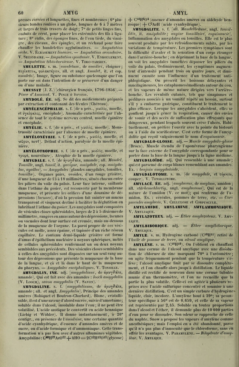 presses carrées et longuettes, fines et nombreuses; 6“ plu- sieurs bandes roulées à un globe, longues de 6 à 7 mètres et larges de trois travers de doigt; 7“ de petits linges fins, enduits de cérat, pour placer les extrémités des fils à liga- ture; 8“ enfin, des éponges fines, de l’eau tiède, du vinai- gre , des ciseaux, des épingles, et un réchaud pour faire chauH'er les bandelettes agglutinatives. — Amputation sèche. V. Ecrasement linéaire. — Amputation secondaire. V. Secondaire.—.imputationspontanée. \. Enroulement. — .imputation tibio-tursienne. V. Tibiü-tarsien. ,\HIULETTE. s. ni. [amuletum, lio amuliriéloigner; TTcpiaiTTOv, (puXaxTxp'.ov, ail. et angl. .inmlet, it. et esp. amuleto]. Image, ligure ou substance quelconque que l’on porte sur soi dans l'intention de se préserver d’un danger ou d’une maladie. .\MESSAT (.1. Z.) [chirurgien français, 1796-1856].— Pi7ice d’.imussat. V. Pince h torsion. AMYDOLÉ, ÉE. adj. Se dit des médicaments préparés par extraction et contenant des fécules (Cbéreau). A1UYÉLENCÉPHALIE. s. f. [deapriv., u.ucXc;, moelle, et s-yy.î'œaXcî, encéphale]. Anomalie caractérisée par l'ab- sence (le tout le système uerveux central, moelle épinière et encéphale. AMYÉLIE. s. f. [de apriv., et p.ucAo;, moelle]. Mons- truosité caractérisée par l’absence de moelle épinière. AMYÉLONÉVRIE. s. f. [de a priv., p.UcXi;, moelle, et veipov, nerf]. Défaut d’action, paralysie de la moelle épi- nière. AYIYÉLOTROPHIE. s. f. [deapriv., [av£).()ç, moelle, et Toocpifi, nourriture]. Atrophie de la moelle épinière. AMYGDALE. S. f. [de ài(.u-yé'‘à).vi, amande; ail. Mmulel, Tonsille, angl. tonsil, it. gavigne, amigdale, esp. nniigdn- las, agallas]. — .imygdales (glandes amygdales, tonsilles, tonsillæ). Organes pairs, ovoïdes, d’un rouge grisâtre, d'une longueur de 13 à 18 millimètres, situés chacun entre les piliers du voile du palais. Leur face interne, saillante dans l’isthme du gosier, est recouverte par la membrane muqueuse, et présente les orifices d’une douzaine de dé- pressions [lacunes), d’où la pression fait suinter un mucus transparent et visqueux destiné à faciliter la déglutition en lubrifiant l’isthme du gosier. Les amygdales sont composées de vésicules closes sphéroïdales, larges de 2 à 5 dixièmesde millimètre, rangées en amas autour des dépressions, lacunes ou vacuoles dont leur surface est creusée, mais au-dessous de la muqueuse de l'organe. La paroi propre de ces vési- cules est molle, assez épaisse, et tapissée d’un riche réseau capillaire. Le contenu demi-liquide grisâtre est formé d’amas d’épithélium nucléaire à noyaux sphériques, mêlés de cellules sphéroïdales renfermant un ou deux noyaux semblables aux précédents. Des vésicules closes semblabl'es à celles des amygdales sont disposées sur un seul rang au- tour des dépressions que présente la muqueuse de la base de la langue, et çâ et là dans le haut de la muqueuse du pharynx. — Amygdales encéphaliques. V. Tünsille. AMYGDALIIV, IIYE. adj. {cnngydalinus, de àu.u-^^âX-/;, amande]. Qui est fait avec des amandes : looch arnggdalin (V. Looch,), samn amggdalin (V. Savon). AMYGDALIIYE. s. f. [amggdalimmi, de àp.u-^^aXvi, amande; ail. et angl. Amygdaliii]. Principe des amandes amères (Rohiquet et Boutron-Charlard). Blanc, cristalli- sable, il estd’uncsaveurd’abord sucrée, suivie d’amertume; soluhlc dans l’alcool, insoluble dans l’eau; il ne peut être volatilisé. L’acide azotique le convertit en acide benzoïque (Liebig et Wôbler). Il donne instantanément, à 20 centigr., en présence de Vémulsine, une certaine quantité d’acide cyanhydrique, d’essence d’amandes amères et de sucre, ou d’acide formique et d’ammoniaque. Cette trans- formation n’a pas lieu avec d’autres albumines végétales. Amygdalino : C«>H27Az02'^ -f- 4HO = 2C‘2H»’^Oi‘2(glycose) -f- (essence d’amandes amères ou aldéhyde ben- zoïque) -j-C’AAzH (acide cyanhydrique). AMYGDALITE, s. f. [ail. Mandelhrüune, angl. tonsil- litis, it. amigdalite; angine tonsillaire', esquinancie]. Inflammation des amygdales ou tonsilles. Elle est le plus souvent produite par les refroidissements subits, par les variations do température. Les premiers symptômes sont la difliculté d'avaler et la sensation d’un corps étranger dans l’arrière-bouche ; en déprimant la base de la langue, on voit les amygdales tuméfiées dépasser les piliers du voile du palais. Ordinairement, les symptômes augmen- tent d’intensité pendant trois ou quatre jours, et dimi- nuent ensuite sous l'influence d’un traitement anti- phlogistique. On prescrit les boissons délayantes et mucilagineuses, les cataplasmes émollients autour du cou, et les vapeurs de même nature dirigées vers l'arrière- bouche. Les révulsifs cutanés, tels que sinapismes et pédiluvos associés à un vomitif répété au besoin, surtout s’il y a embarras gastrique, constituent le traitement le plus efficace. Lorsque les amygdales s’abcèdent, elles se gonflent jusqu’à gêner la respiration, causer des envies de vomir et des accès de suffocation plus effrayants que dafigcrcux, pendant lesquels souvent crève l’abcès. Habi- ' tuellement, on préfère l’ouvrir avec la pointe du bistouri ou à l’aide du scarificateur. C’est cette forme de l’amyg- dalite qui reçoit vulgairement le nom A'esquinancie. AMYGDALO-GLOSSE. adj. — Muscle arnggdalo-glosse (Broca). Muscle étendu de l’aponévrose pharyngienne sur la face externe de l’amygdale correspondante pour se porter dans la hase de la langue jusqu’à la ligne médiane. AMYGDALOÏDE. adj. Qui ressemble à une amande; qui est parsemé de corps blancs ressemblant aux amandes. Ex. : benjoin amygdaldkle. AMYGDALOTOME. s. m. [de amygdale, et t$u.V31v, couper]. V. Tonsillitome. AMYLACÉ, ÉE. adj. \(imylaceus, i\o arnylum, amidon; ail. starkemehlartig, angl. arnylaceoiis']. Qui est de la nature de l’amidon {\. ce mot); qui renferme de l’a- midon. Ex. : céréales, pommes de terre, etc. — Cor- puscules amylacés. V. Cellulose et Corpuscule. AMYLAMIDE, AMYLAMINE, AMYL AMMONIAQUE. V. Amyliaqi'e. AMYLAZOTEUX. adj. — Éther nmylazoteux. V. Amy- LIQUE. AMYLBIBORIQUE. adj. — Éther arnylbiboriqne. V. Amylique. AMYLE. s. m. Hydrogène carboné (C*®Hii) retiré de Vhuile de pomme de terre, ou alcool amylique. AMYLÈNE. s. m. (C‘®H*®). On l’obtient en chauffant dans une cornue de l’alcool amylique avec une dissolu- tion de chlorure de zinc marquant 70® à l'aréomètre; on agite fréquemment pendant que la température s’é- lève; l'alcool amylique finit par se dissoudre complète- ment, et l'on chauffe alors jusqu'à distillation. Le liquide distillé est rectifié de nouveau dans une cornue tubulée munie d’un thermomètre, et l’on no recueille que la partie la plus volatile. Celle-ci est agitée à plusieurs re- prises avec l’acide sulfurique concentré et soumise à une dernière distillation. C’est un simple'carbure d’hydrogène' | liquide, clair, incolore. L’amylène bout à 39°; sa pesan- teur spécifique à 56° est de 0,659, et celle do sa vapeur est représentée par 2,45. Soluble on toutes proportions dans l’alcool et l’éther, il demande plus de 10 000 parties j d'eau pour se dissoudre. Son odeur se rapproche de celle I du naphte. Snovv a proposé les vapeurs d’amylène comme j anesthésiques; mais l’emploi en a été abandonné, parce I qu’il n'a pas i)lus d’innocuité que le chloroforme, sans en ; offrir les avantages. V. Paramylène. — Bihydrate d’amy- lène. V. Amylique.